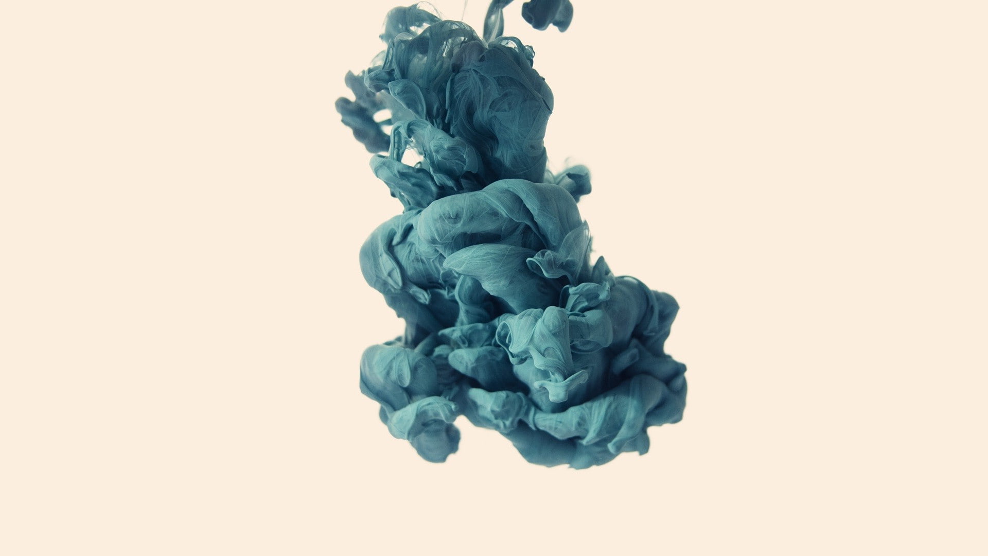 nature, Alberto Seveso, cut out, art and craft, studio shot, 1080P, abstract, single object, beauty in nature, freshness, no people, still life, indoors, HD Wallpaper