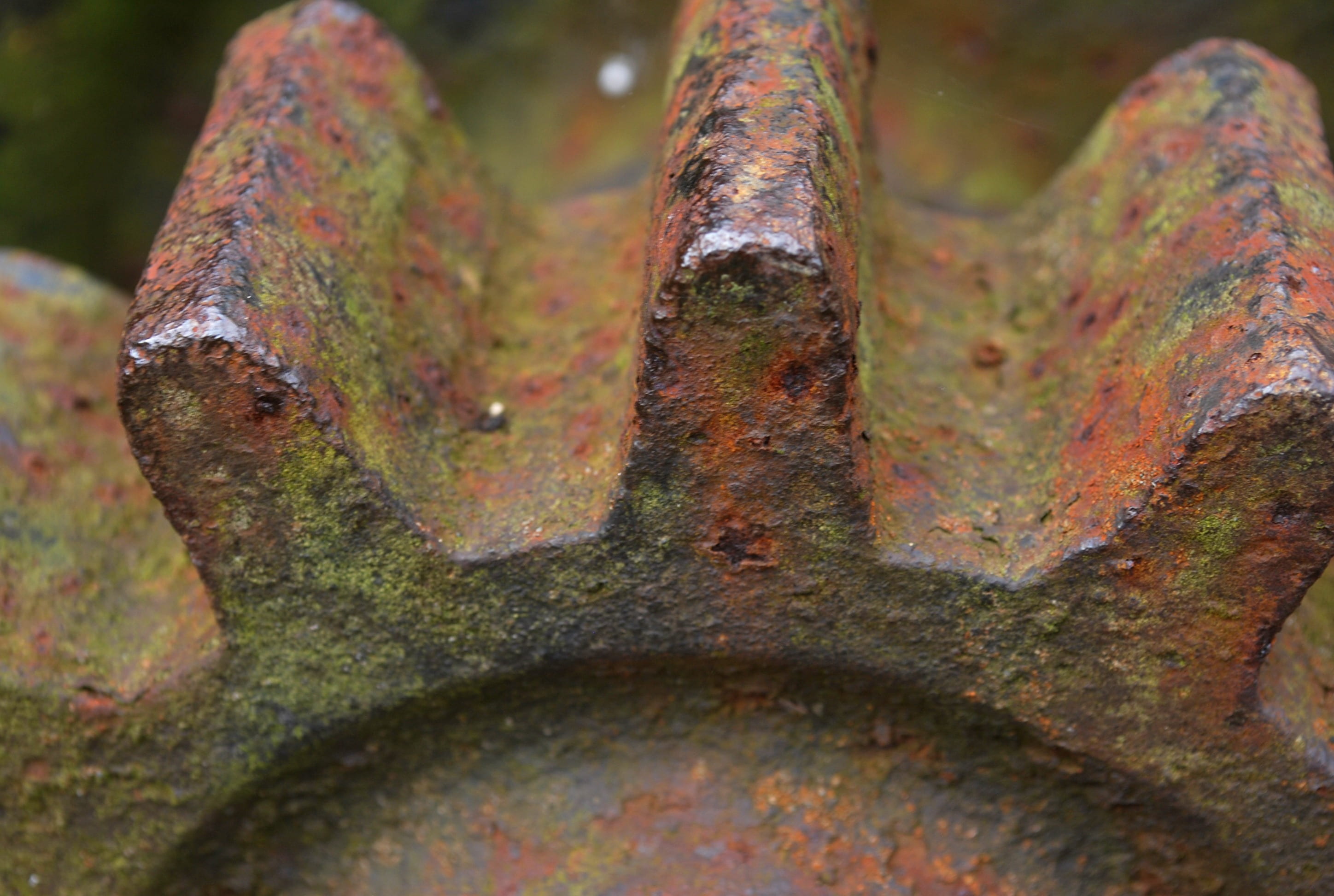 macro, deterioration, nature, metal, 2K, trunk, tree trunk, gear, growth, gears, lichen, close-up, rusty, land, weathered, tree, textured, moss, plant, HD Wallpaper