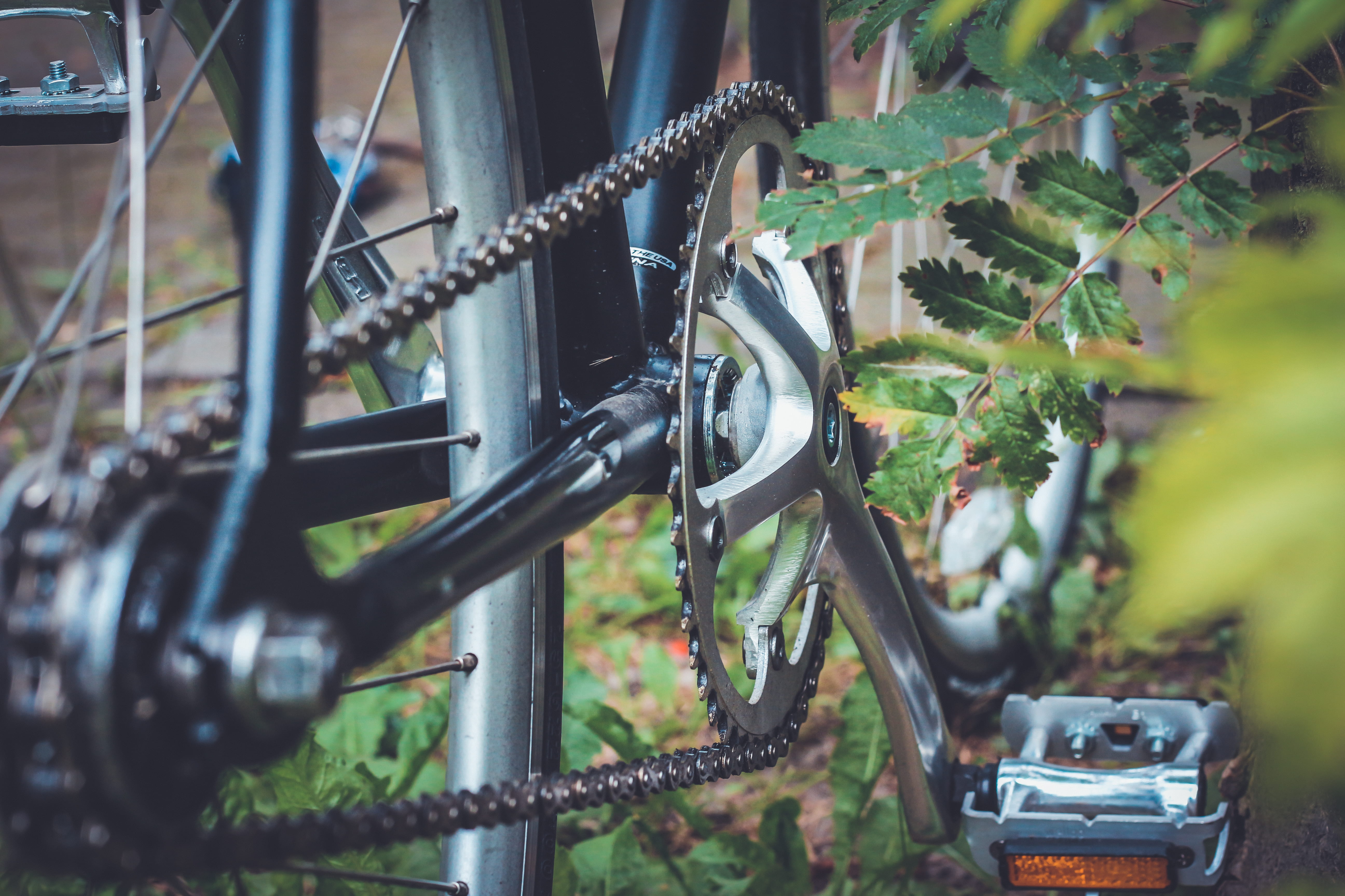 sprocket, photo, barrier, mode of transportation, close-up, nature, equipment, spoke, boundary, growth, bicycle, tire, plant, land vehicle, fence, no people, HD Wallpaper