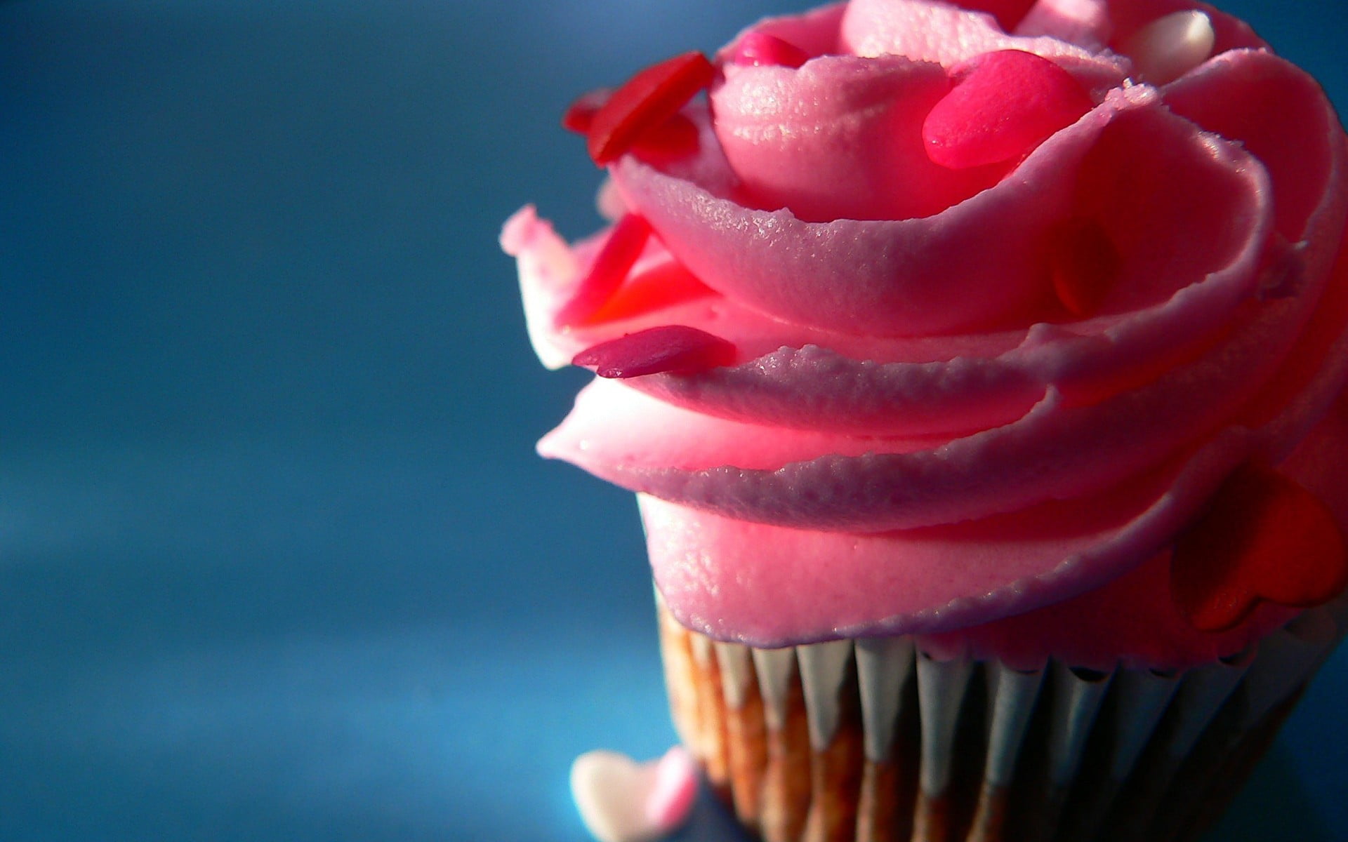 temptation, pink color, dessert, close-up, closeup, flower, studio shot, sweet, freshness, blue, food, focus on foreground, 1080P, indoors, colored background, HD Wallpaper