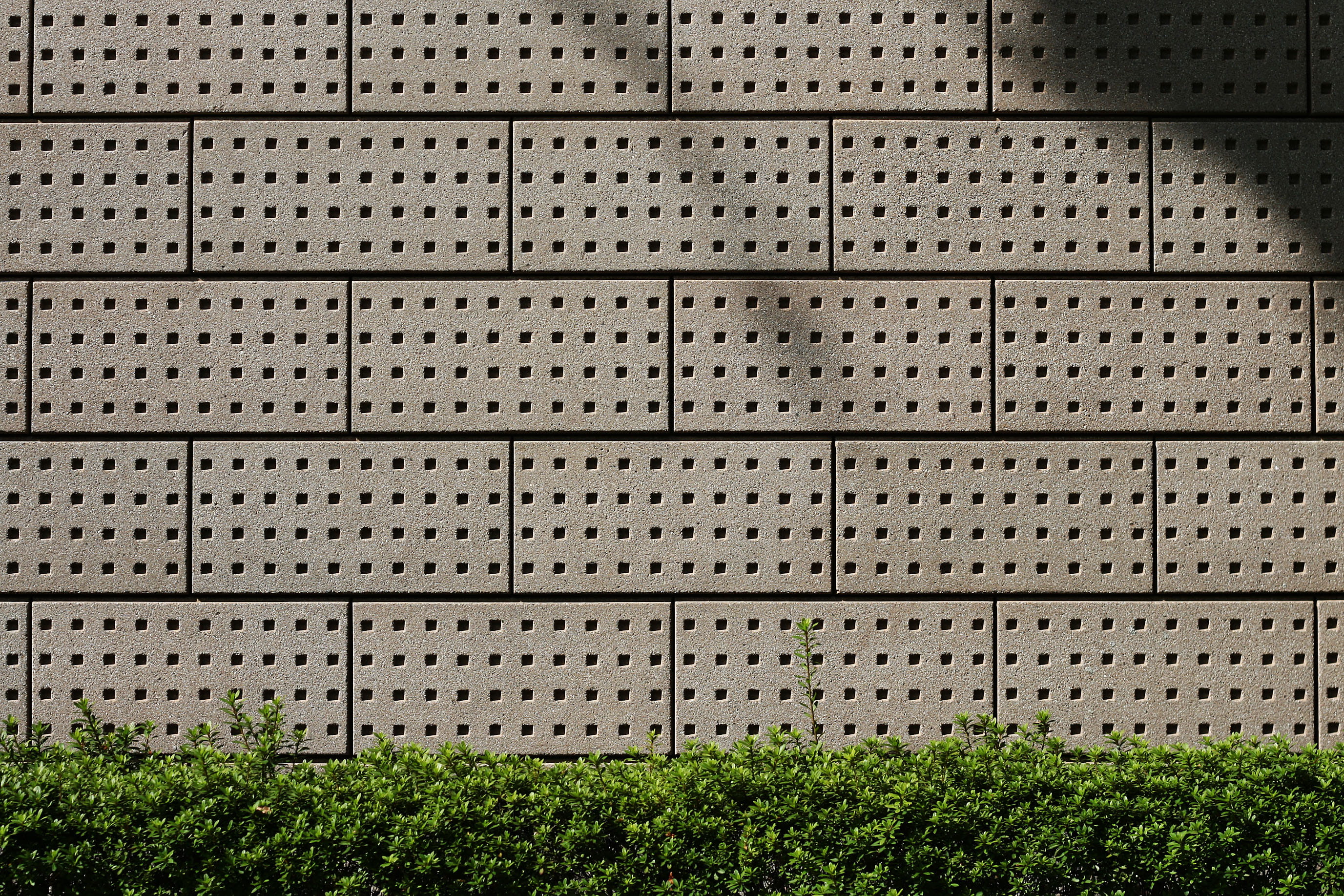 nature, fixed, backgrounds, repetition, piece, material, iteration, strong, logic, no People, building Exterior, concrete, plants, pattern, wall, architecture, HD Wallpaper