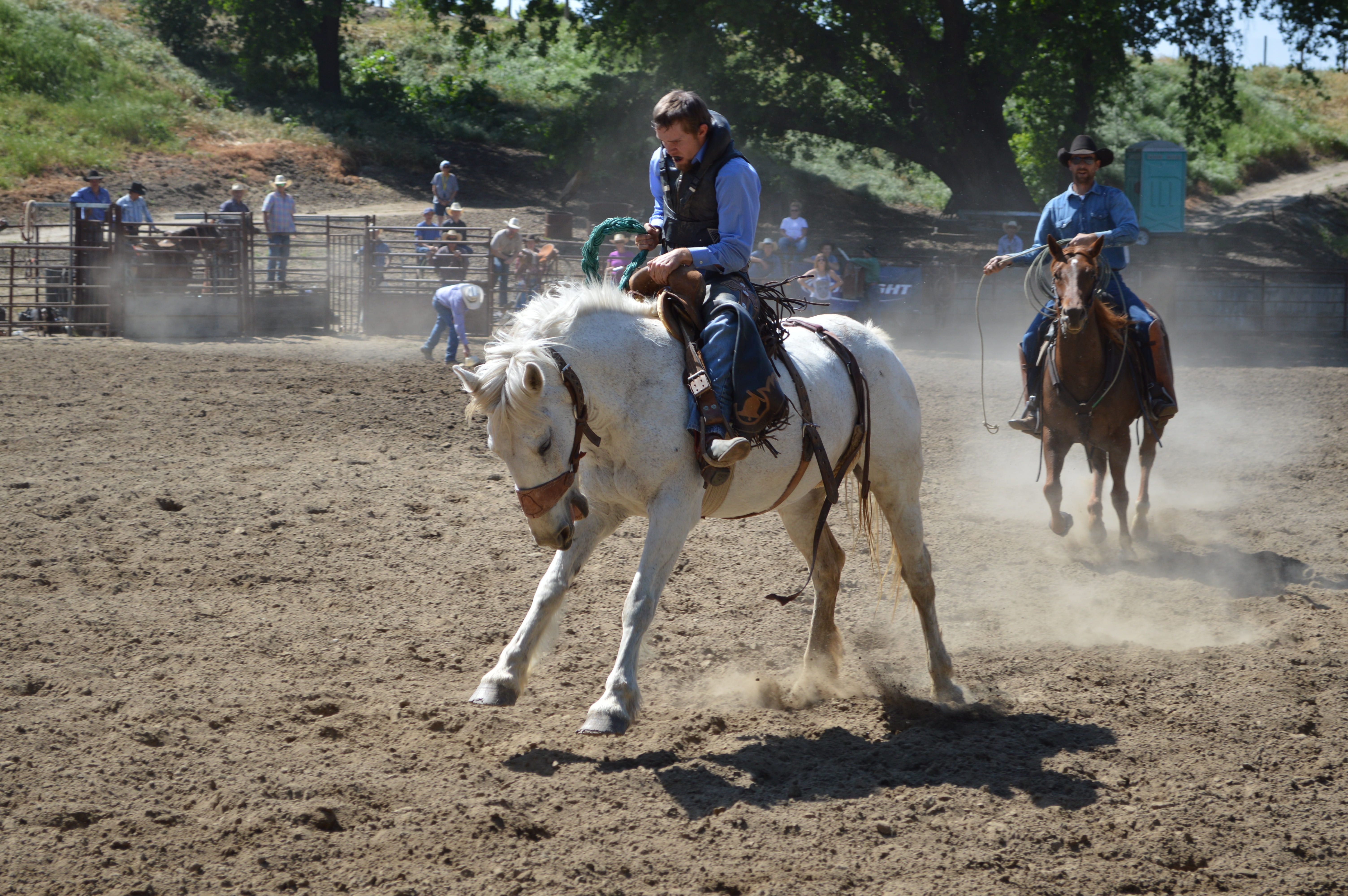 hoofed, equine, brown, recreation, mammal, inside, animal, training, dust, domestic, fast, horseback riding, person, front, vertebrate, pets, cowboy, men, HD Wallpaper