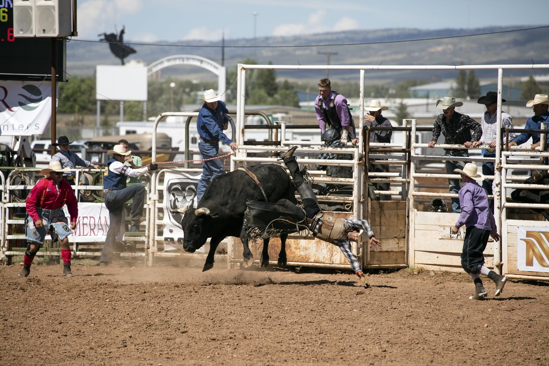 arena, rodeo, mammal, real people, sport, vertebrate, lifestyles, spurs, group of animals, lifestyle, bareback, dust, men, crowd, domestic, day, nature, HD Wallpaper
