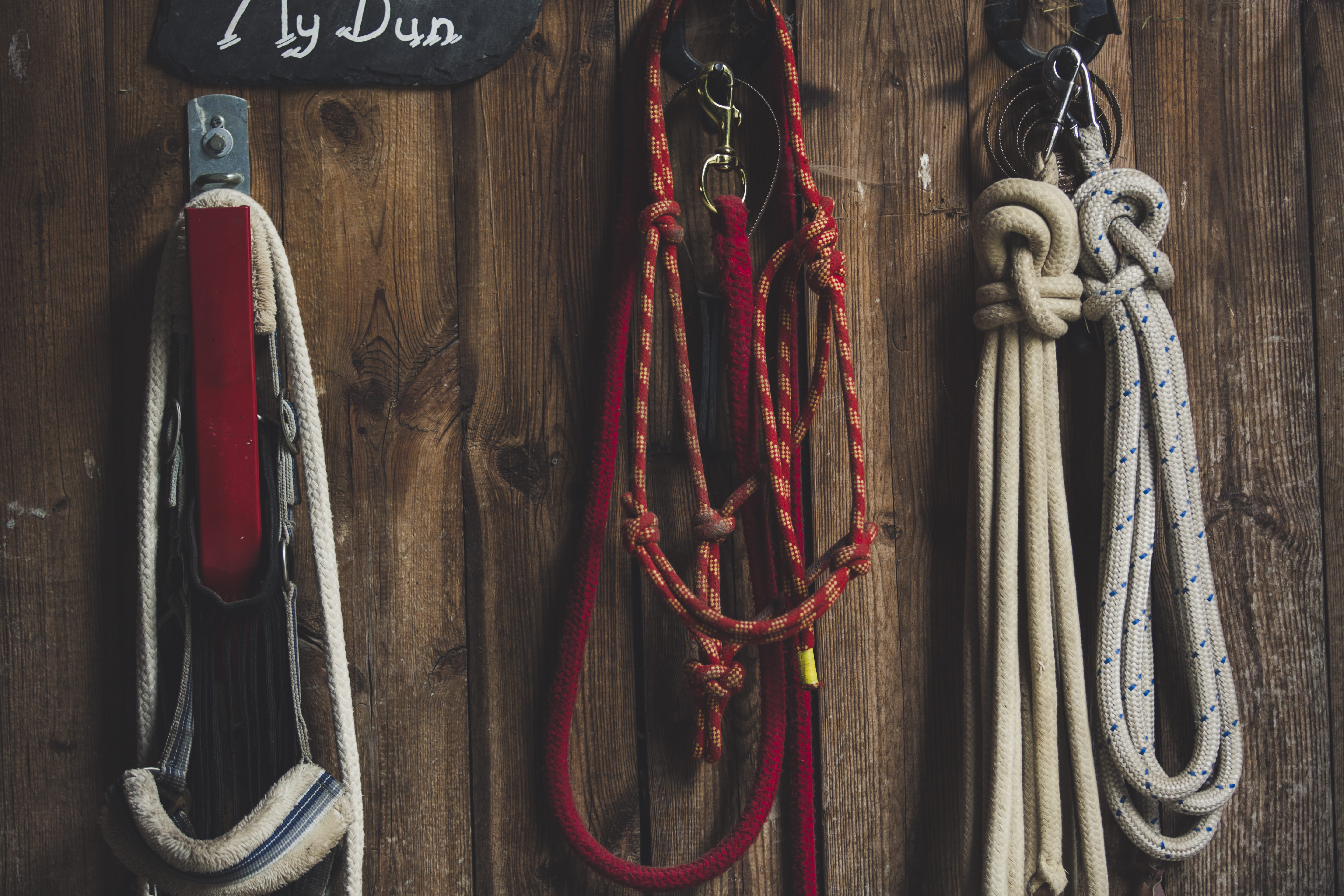 animals, dressage, day, farm, hanging, side by side, jockey, fitness, strength, leather, still life, tied up, horse, choice, dark, horse back, metal, close-up, HD Wallpaper