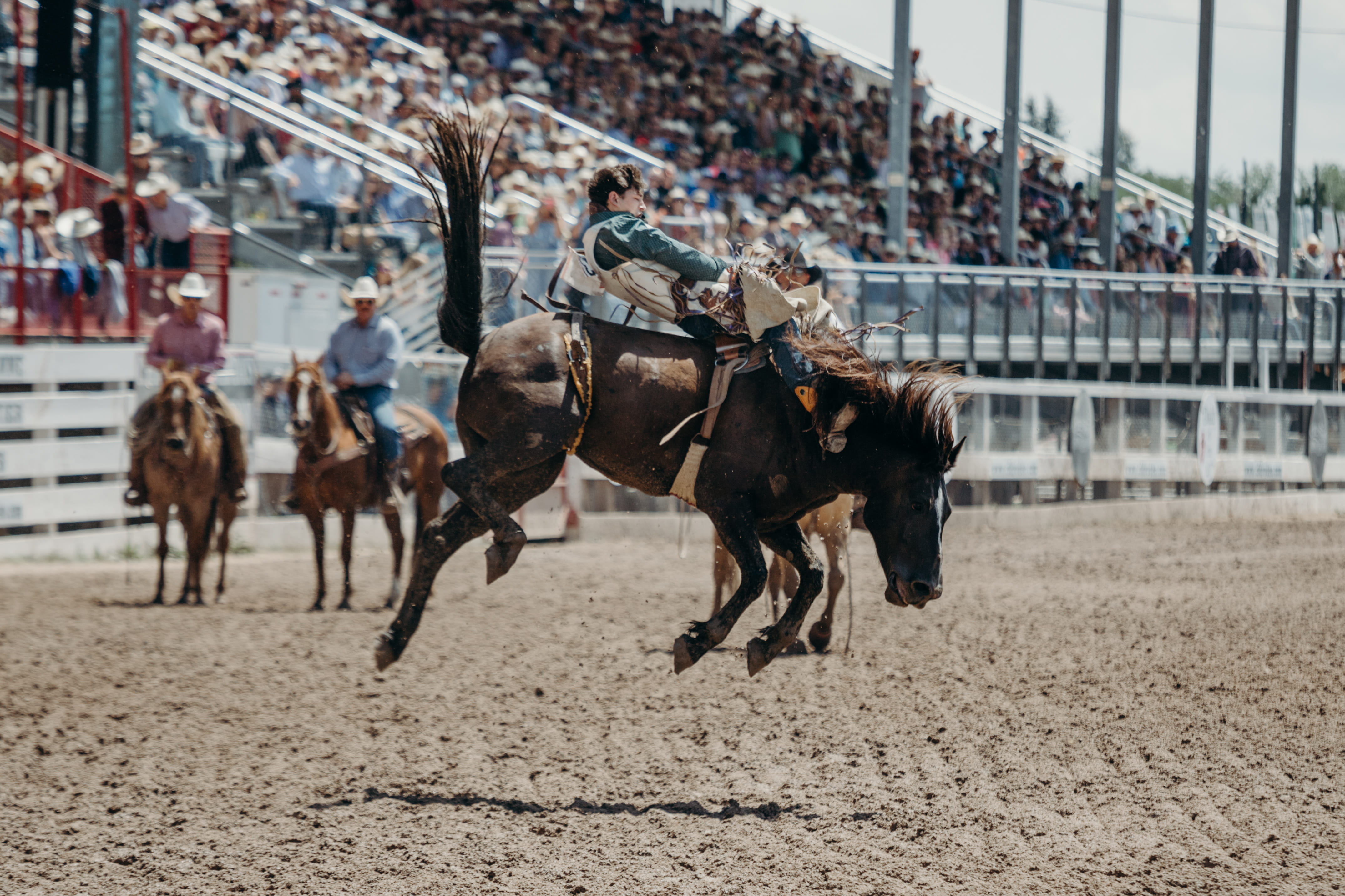 cowboy, equestrian Event, cultures, racehorse, thoroughbred Horse, saddle, riding, people, america, animal Sport, rodeo, rustic, kick, 4K, shadow, jump, HD Wallpaper