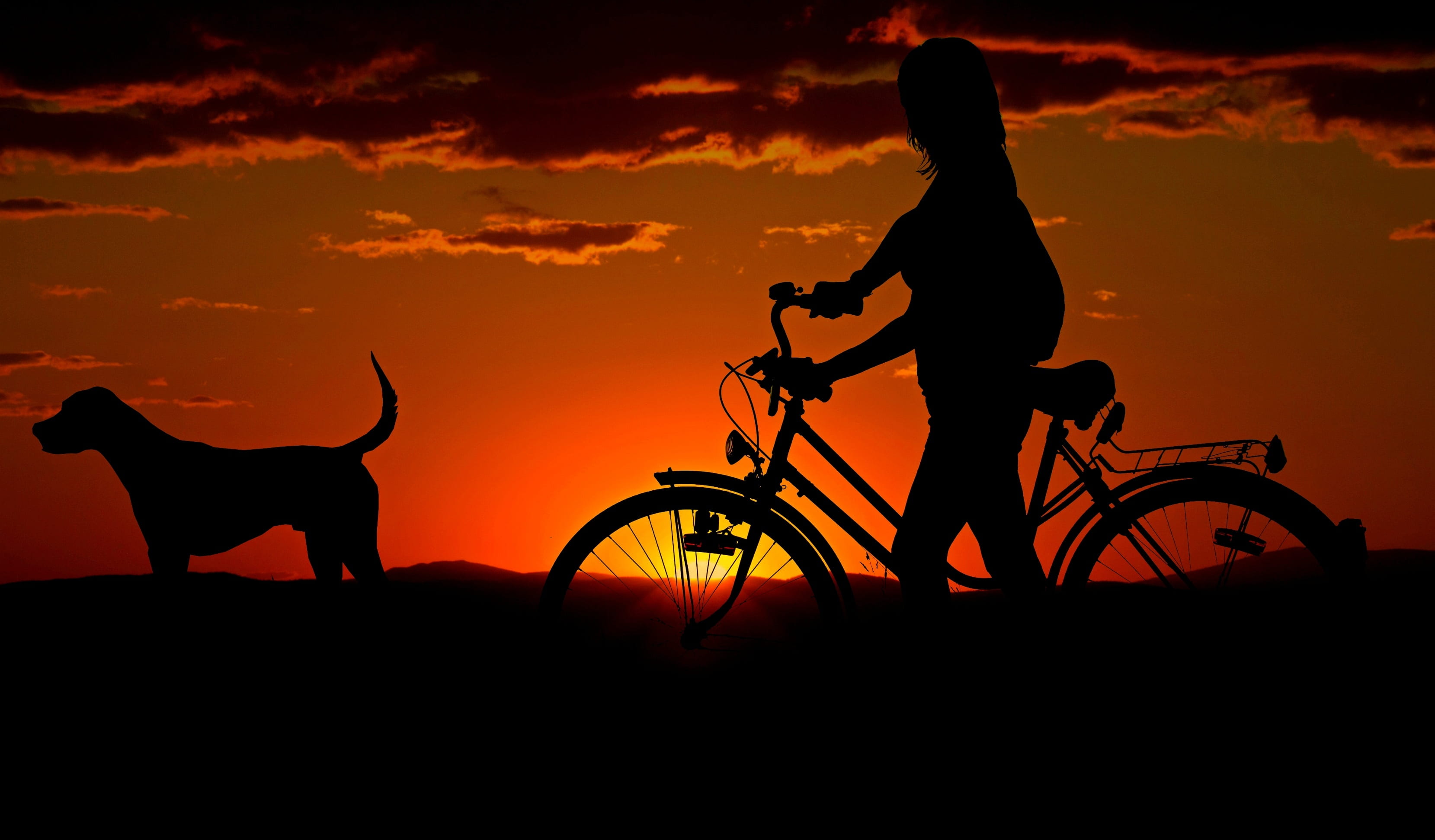 nature, vertebrate, mammal, abendstimmung, person, evening sky, animal wildlife, riding, on the go, dusk, sky, domestic animals, transportation, cloud - sky, HD Wallpaper