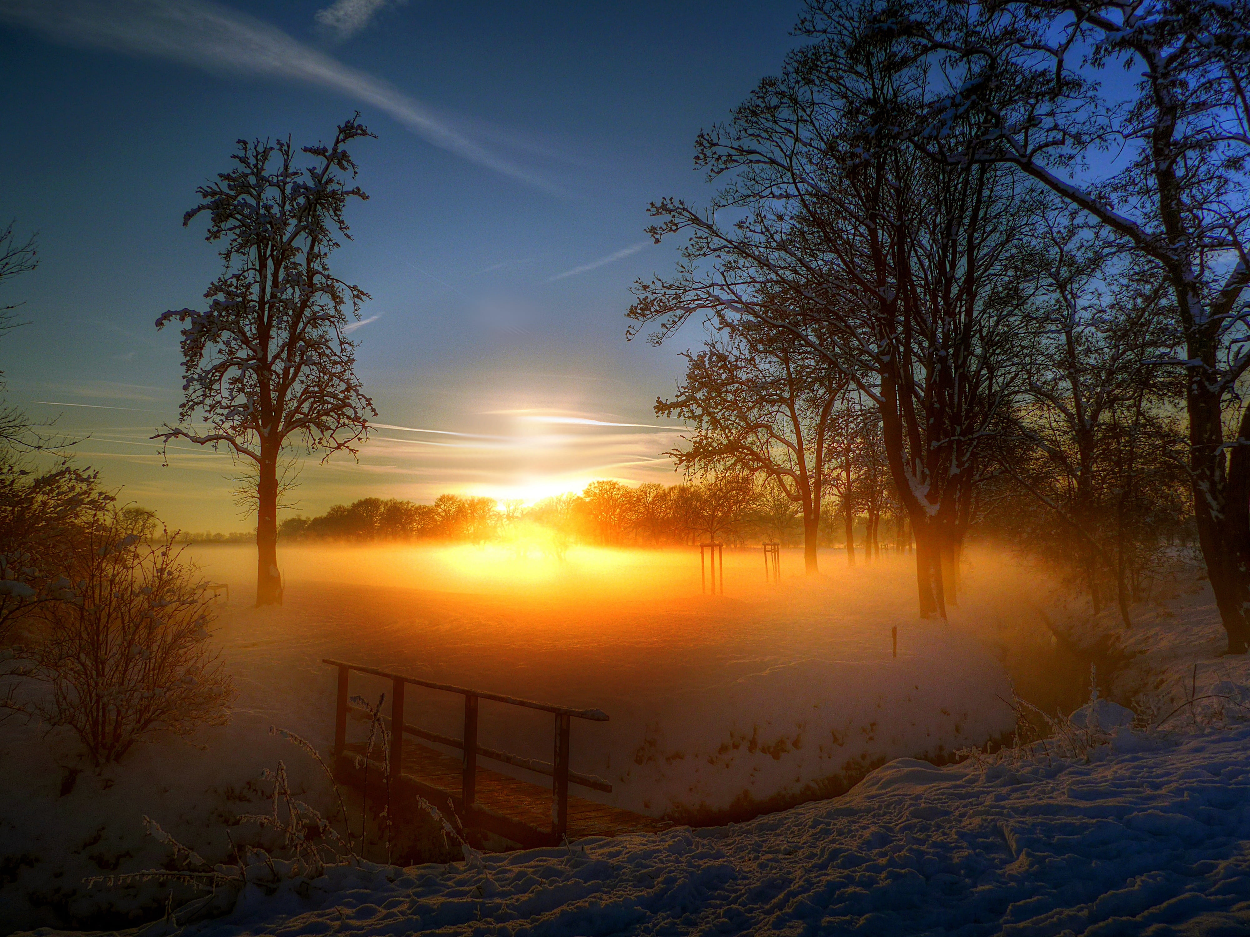non-urban scene, afterglow, environment, beauty in nature, sunset, snow, tranquility, evening, sky, outdoors, plant, light, cold temperature, setting sun, HD Wallpaper