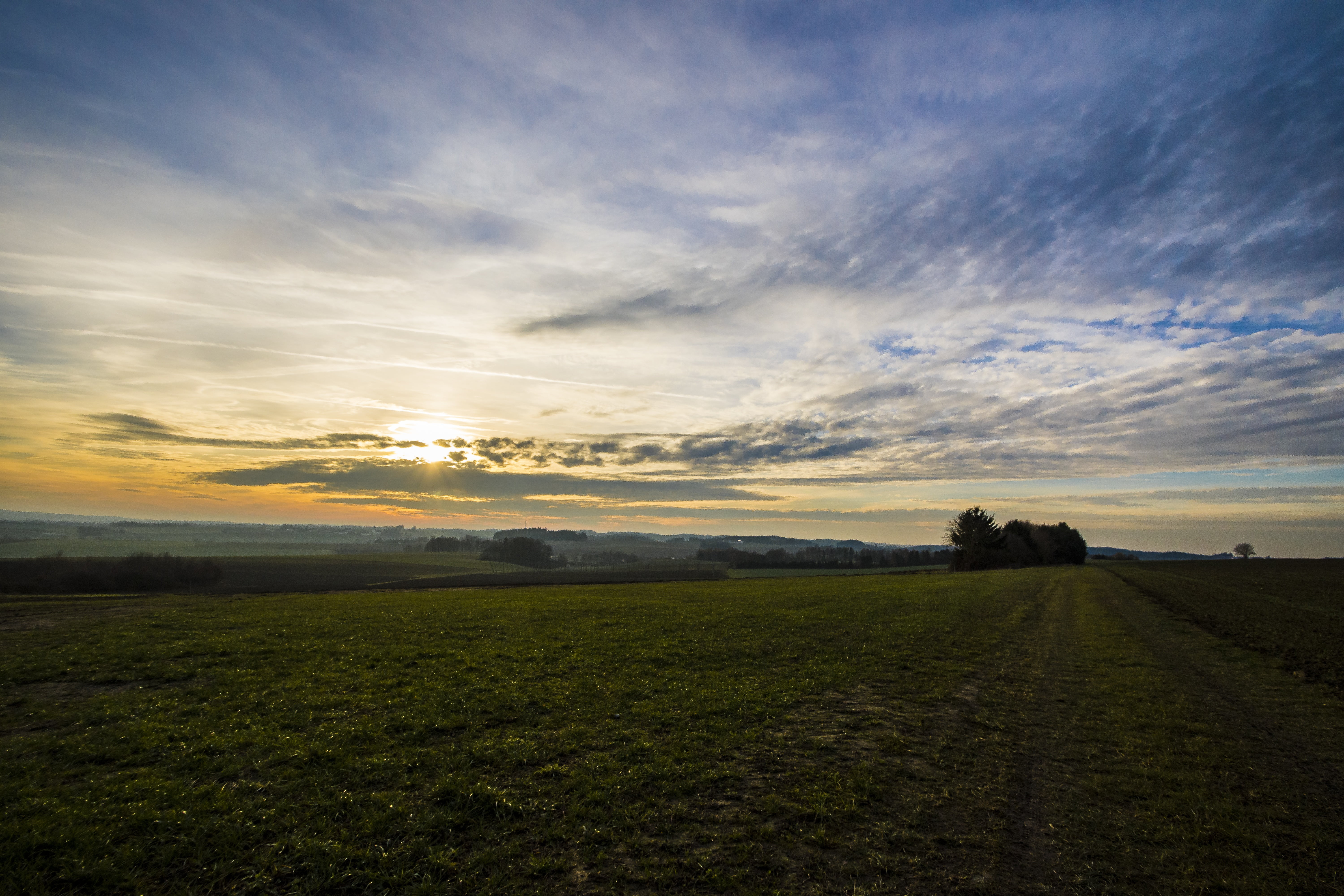 dramatic sky, sunset, grass, sun, embers, evening, idyllic, silhouette, rural scene, winter, beauty in nature, land, horizon, cloud - sky, landscape, field, HD Wallpaper