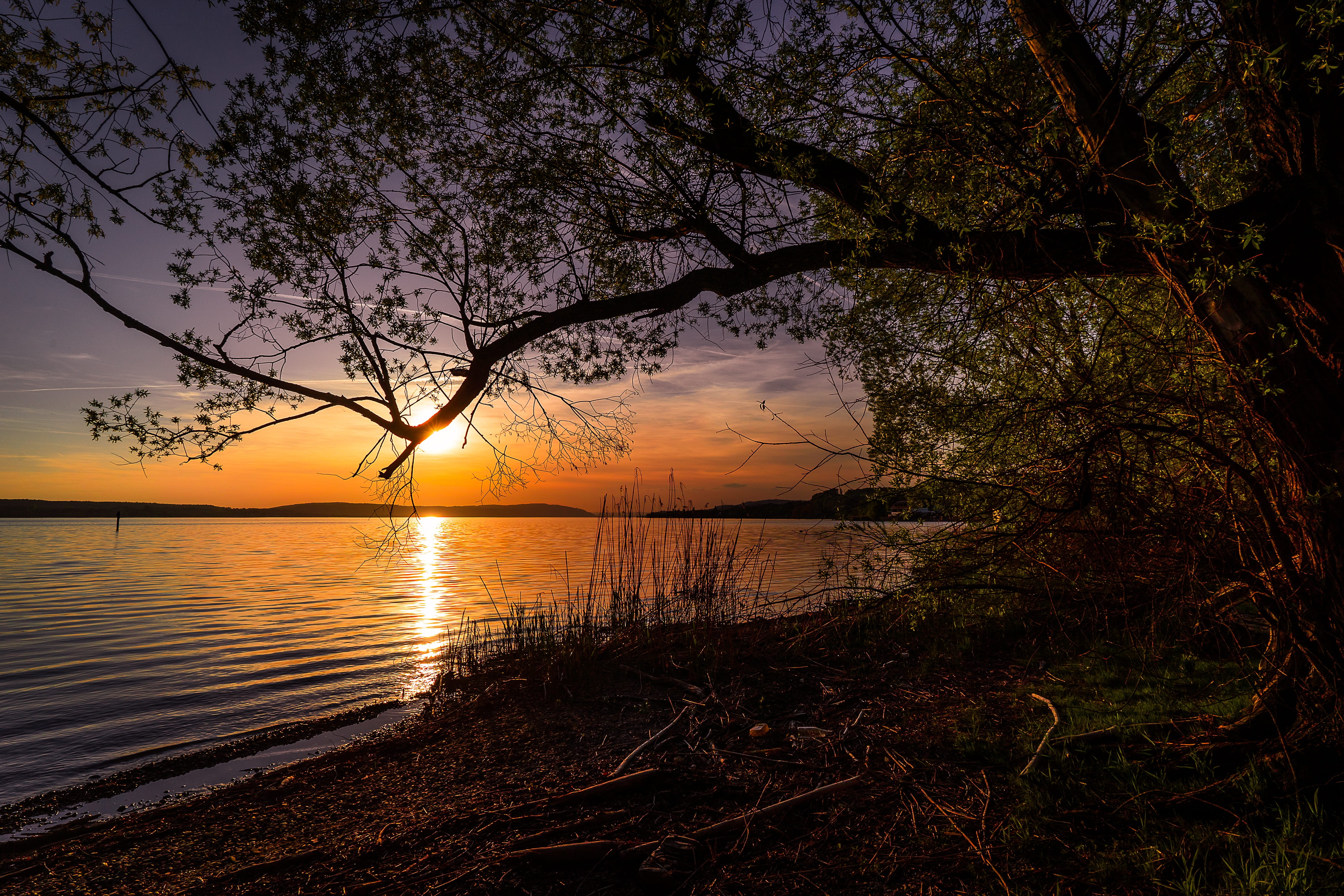 force, near, water, plant, mood, sky, romance, desktop background, dusk, screen background, cloud - sky, orange color, setting sun, twilight, tranquil scene, HD Wallpaper