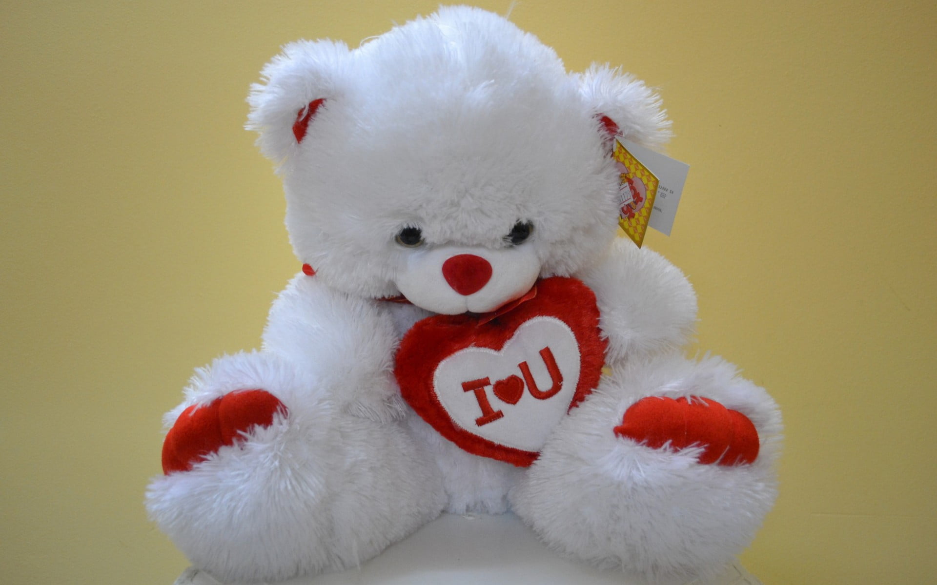 celebration, white color, representation, white, softness, red, holiday, plush, animal themes, bear, mammal, stuffed toy, animal representation, christmas, HD Wallpaper