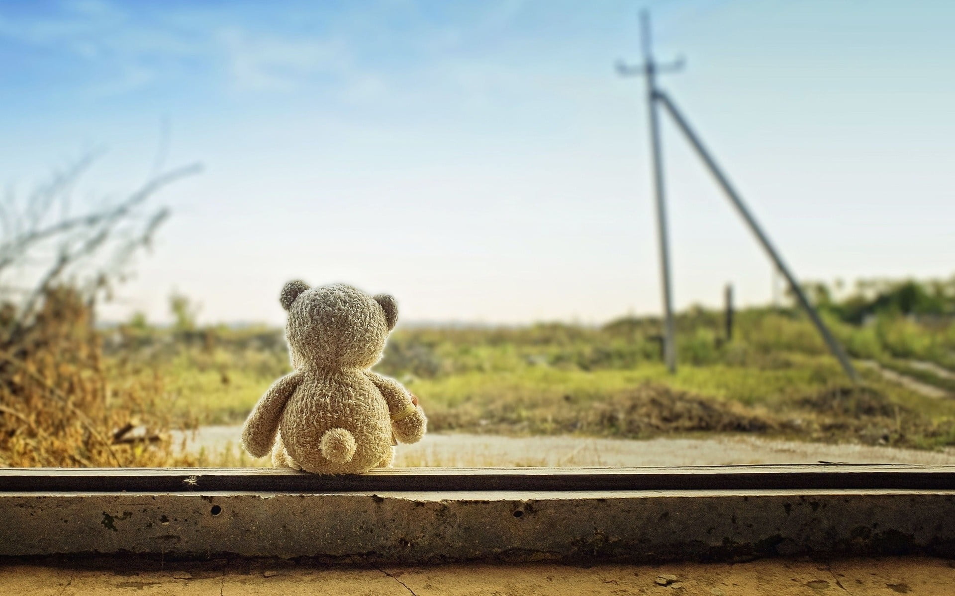 track, land, plant, focus on foreground, toy, brown, field, plush, outdoors, teddy bear, landscape, nature, clear sky, teddy bears, transportation, environment, HD Wallpaper