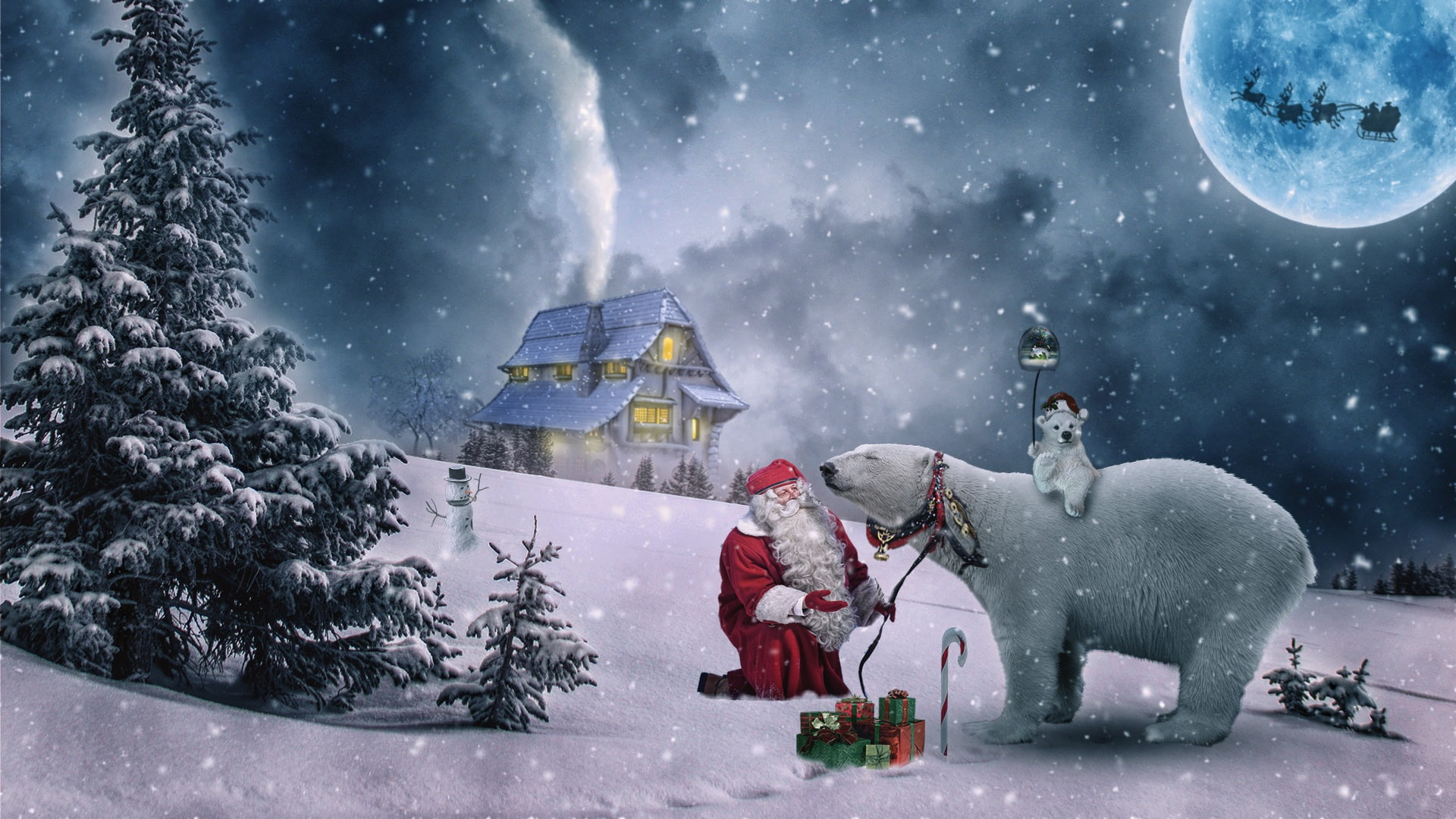 Gift, Winter, 1080P, Santa, Christmas, Holiday, Polar Bear, HD Wallpaper