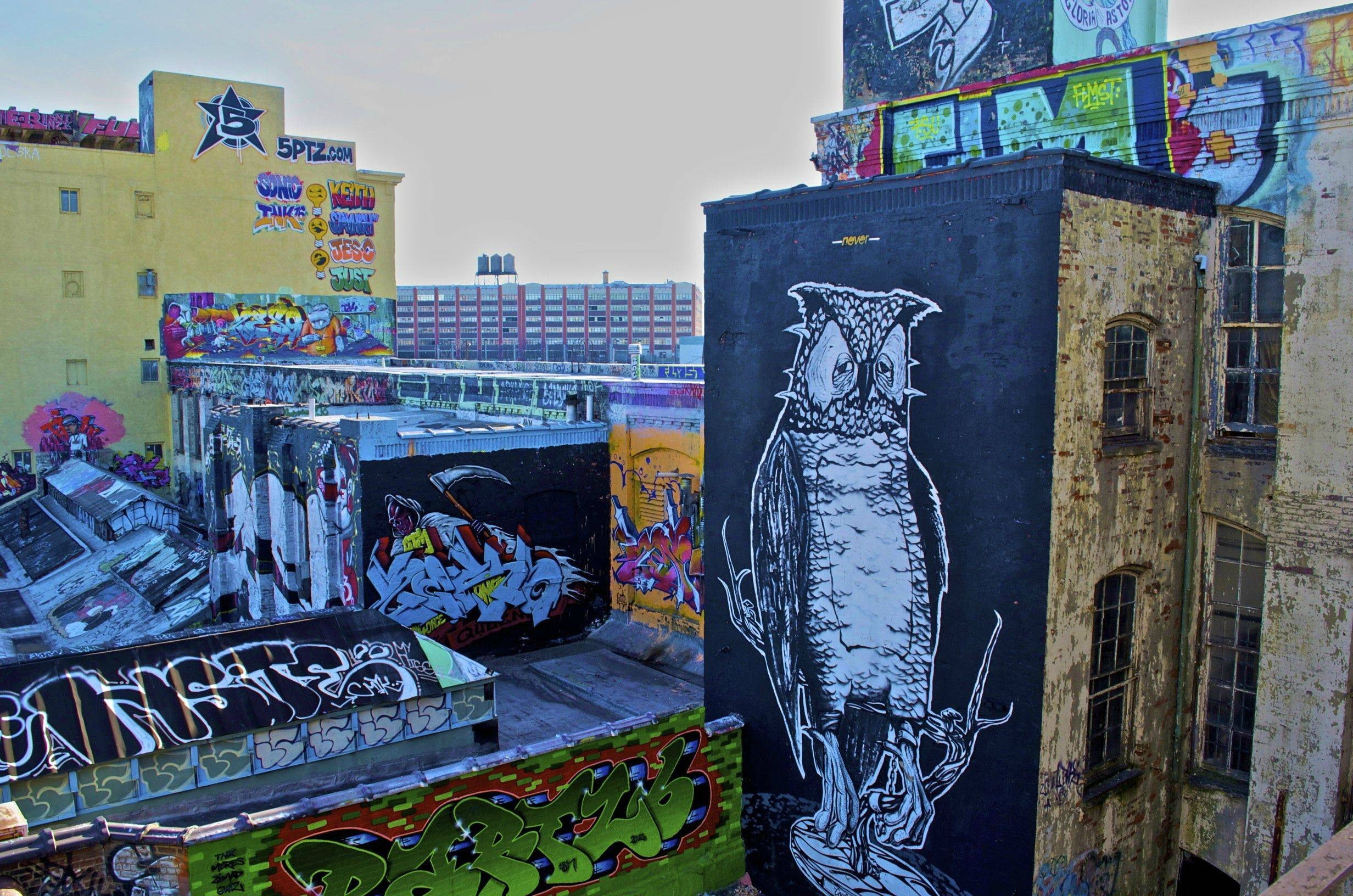 building, human representation, hawk, text, outdoors, rooftops, owl, female likeness, craft, New York City, city, mural, building exterior, day, creativity, HD Wallpaper