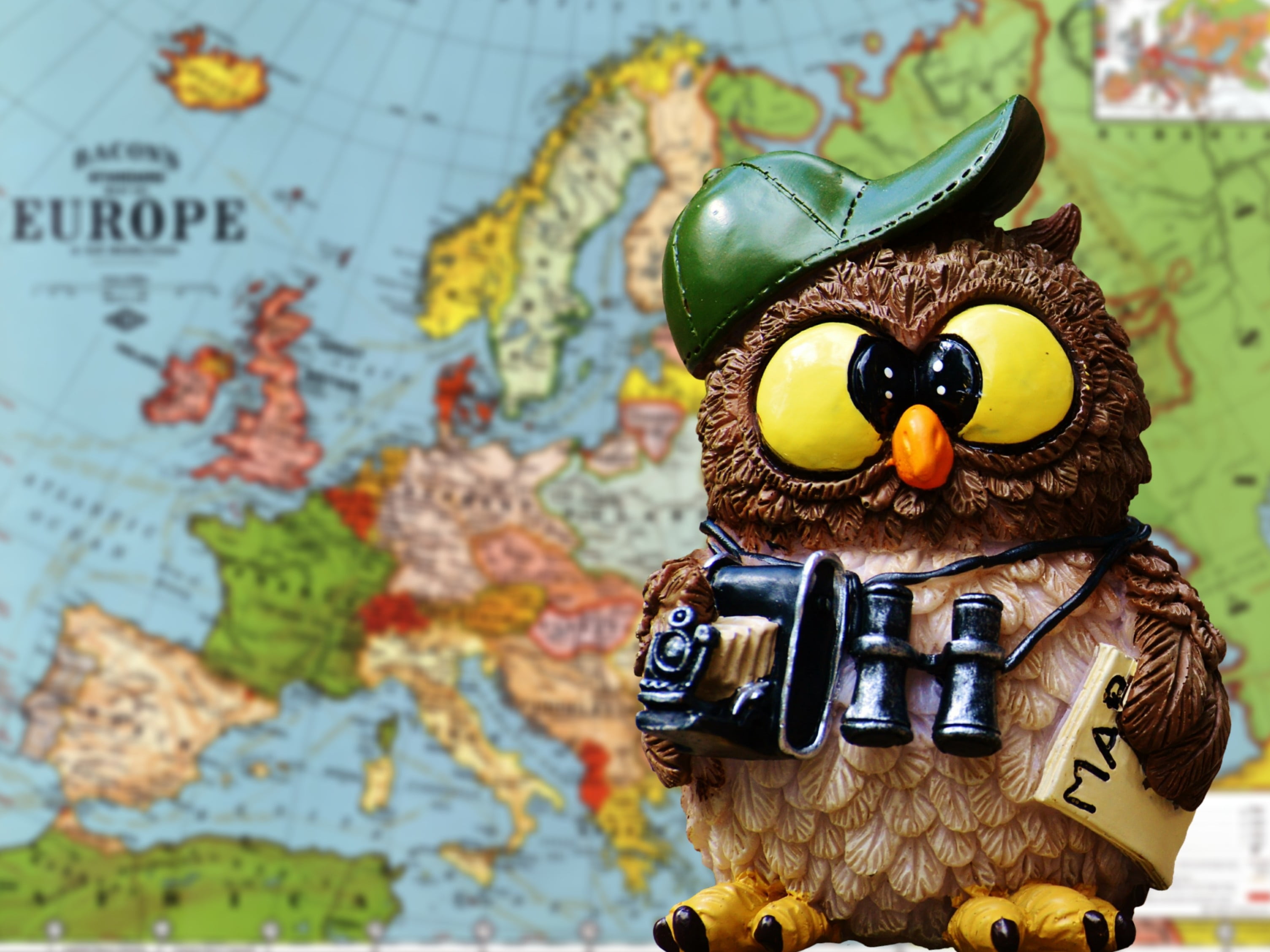 pattern, human representation, close-up, creativity, cities, single object, funny, tourists, multicolored, holiday, craft, figure, indoors, toy, cute, owl, HD Wallpaper