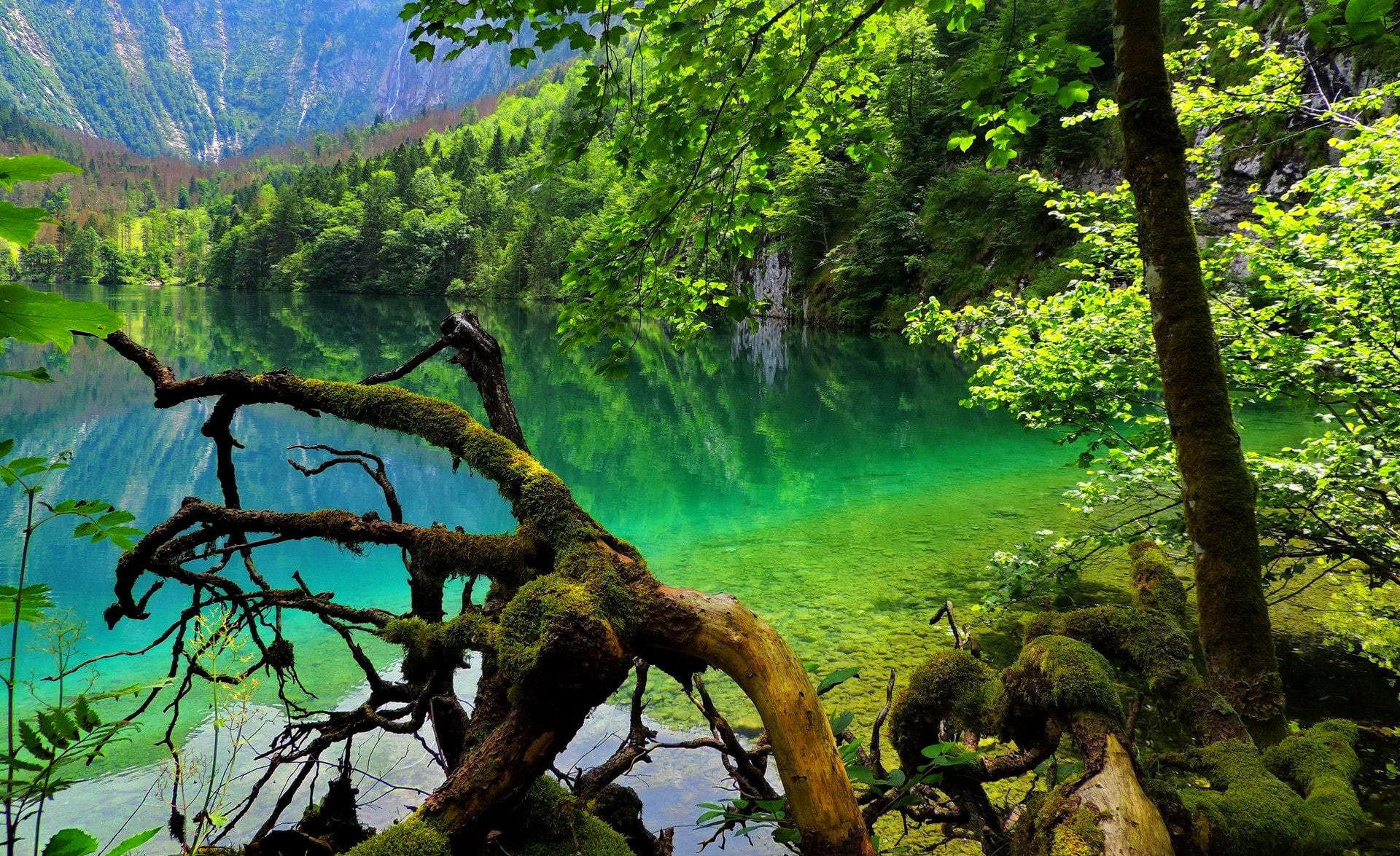  1080P, hd, constance, obersee, beautiful, germany, lake, HD Wallpaper