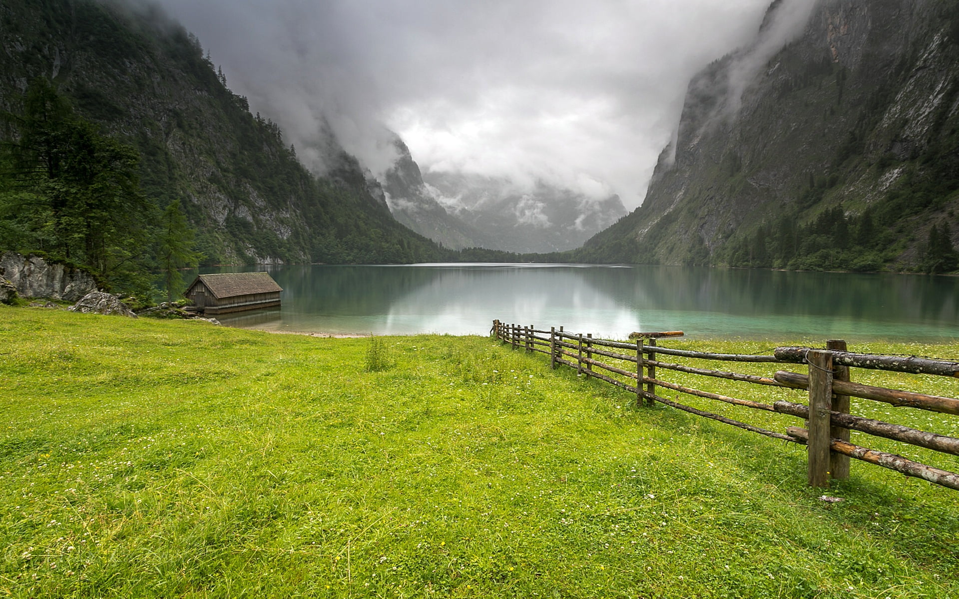nature, environment, plant, green color, Obersee, wooden, fog, no people, rails, lake, clouds, cloud - sky, mountain, mountain range, Germany, tranquility, HD Wallpaper