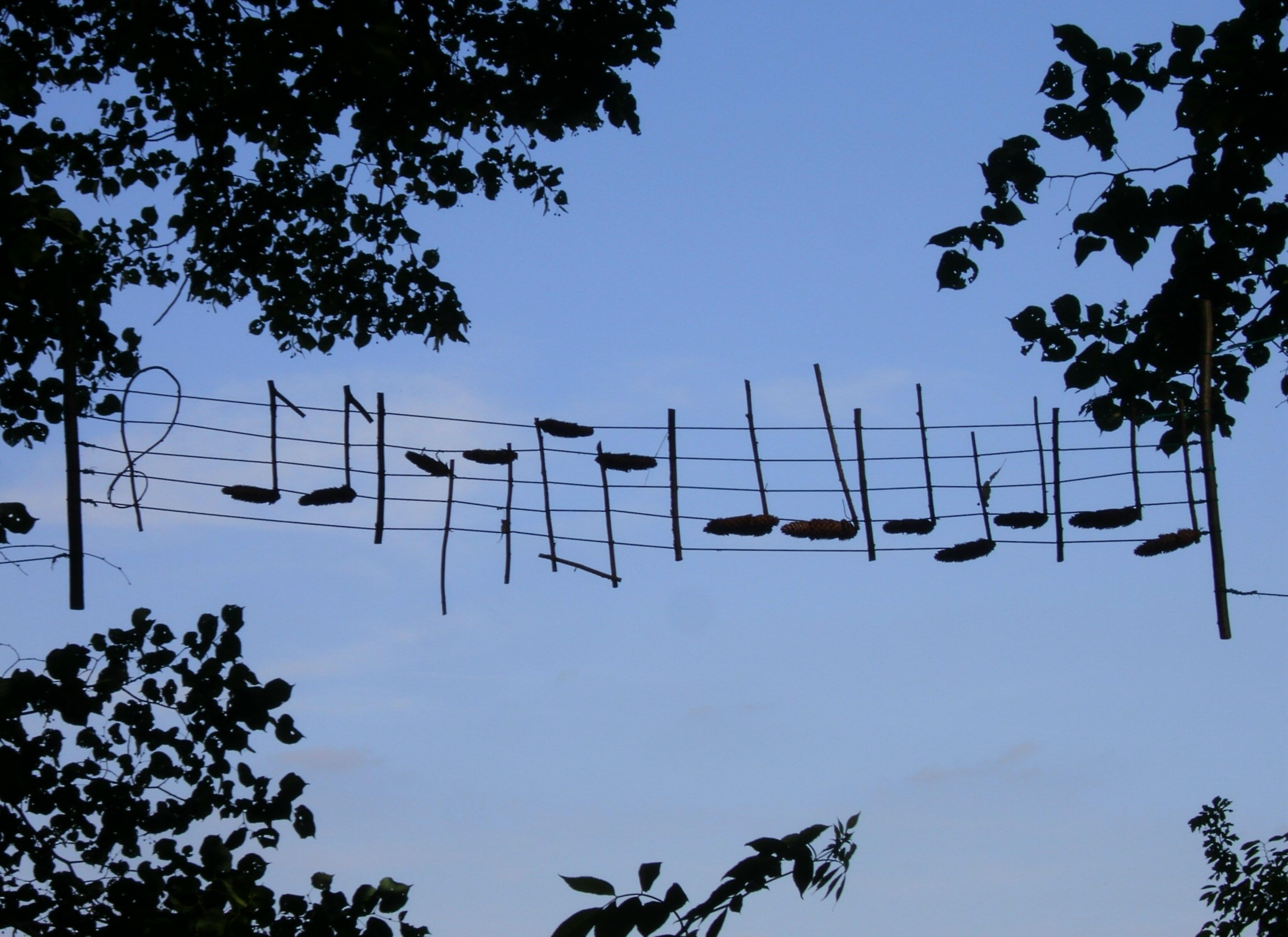 melody, antenna - aerial, composition, technology, idea, plant, connection, leaf, silhoutte, creative, stave, the thoughts are, treble clef, perching, plant part, HD Wallpaper