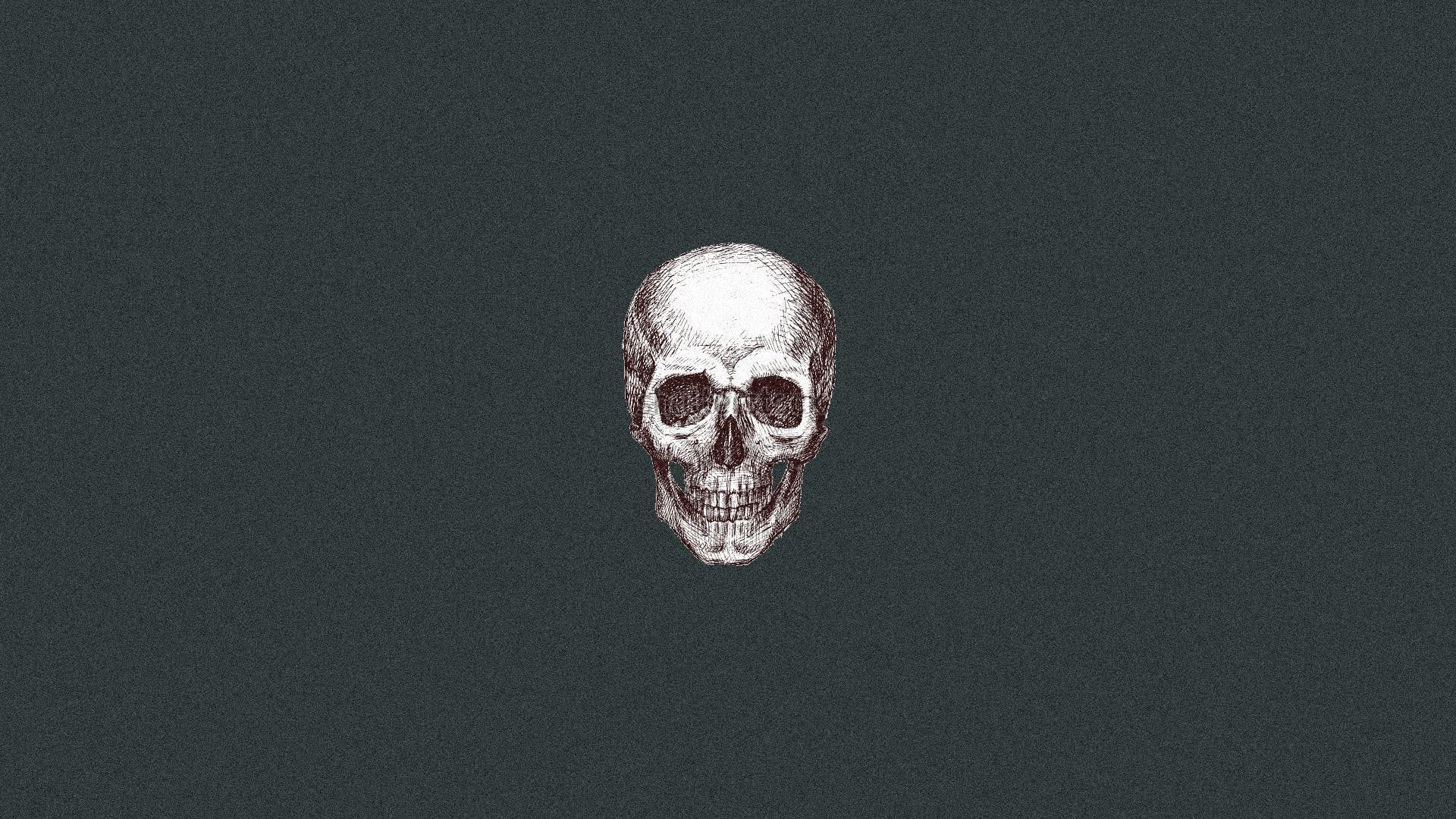 artwork, human skeleton, indoors, human skull, digital composite, bone, human body part, skeleton, body part, black background, 1080P, close-up, still life, HD Wallpaper