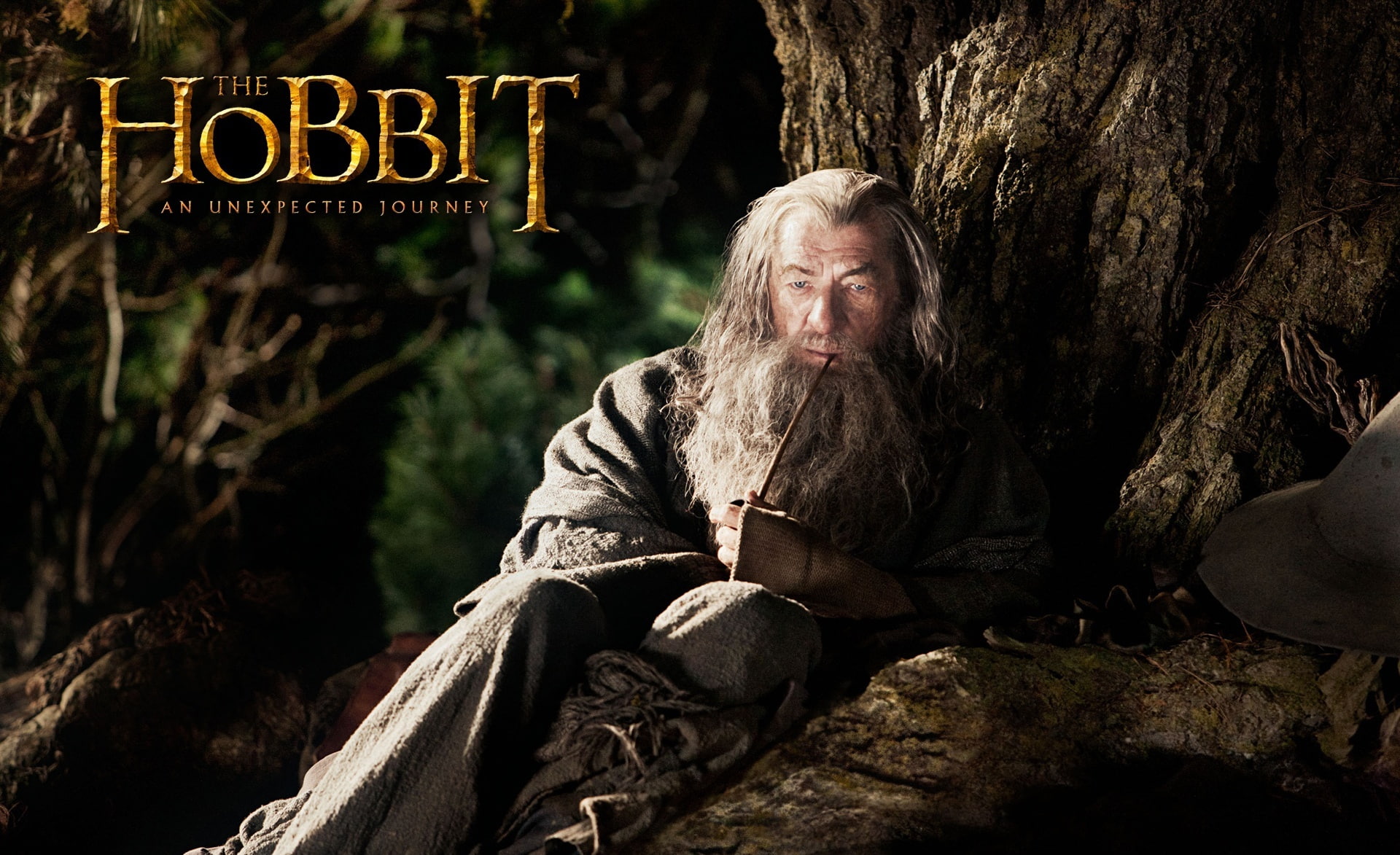 ian mckellen, nature, day, focus on foreground, sign, journeys, Unexpected, communication, lifestyles, text, contemplation, adult, Gandalf, looking, HD Wallpaper