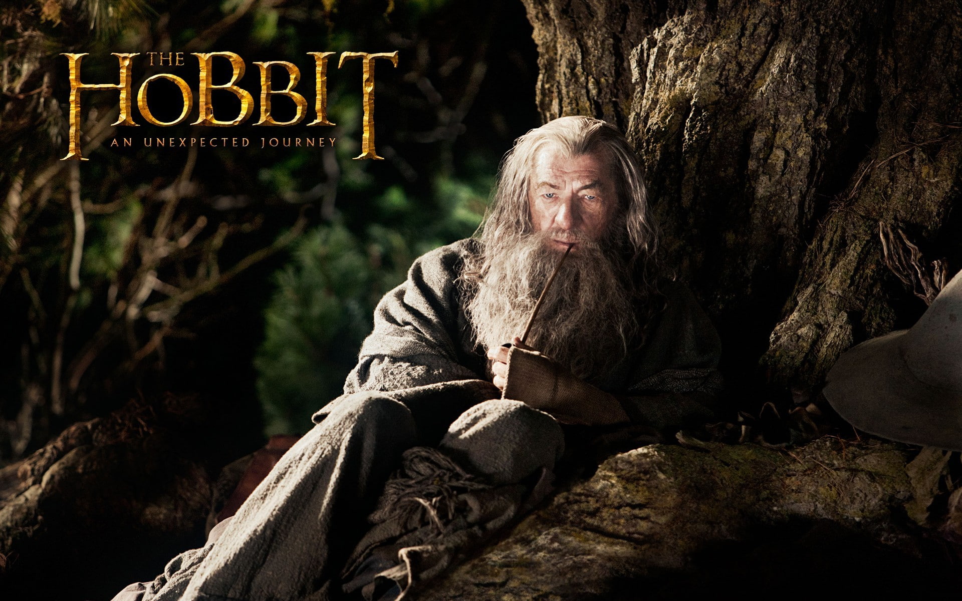 tree, Gandalf, sitting, Ian McKellen, lifestyles, sign, focus on foreground, front view, outdoors, actor, western script, hobbit, leisure activity, HD Wallpaper