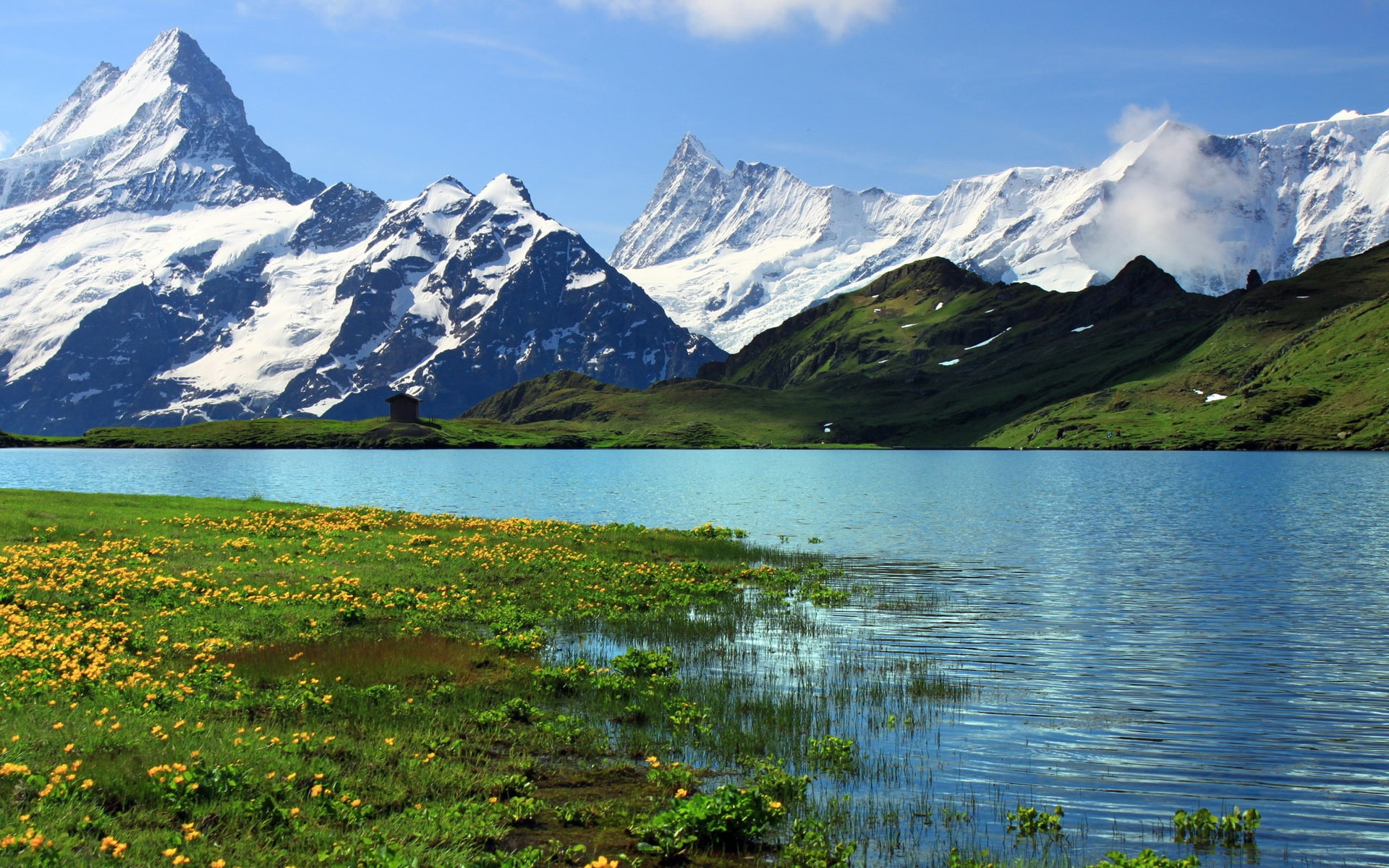 Switzerland, Bern, Snowy, River, Grass, Scenery, 1080P, Flowers, Nature, Mountains, HD Wallpaper