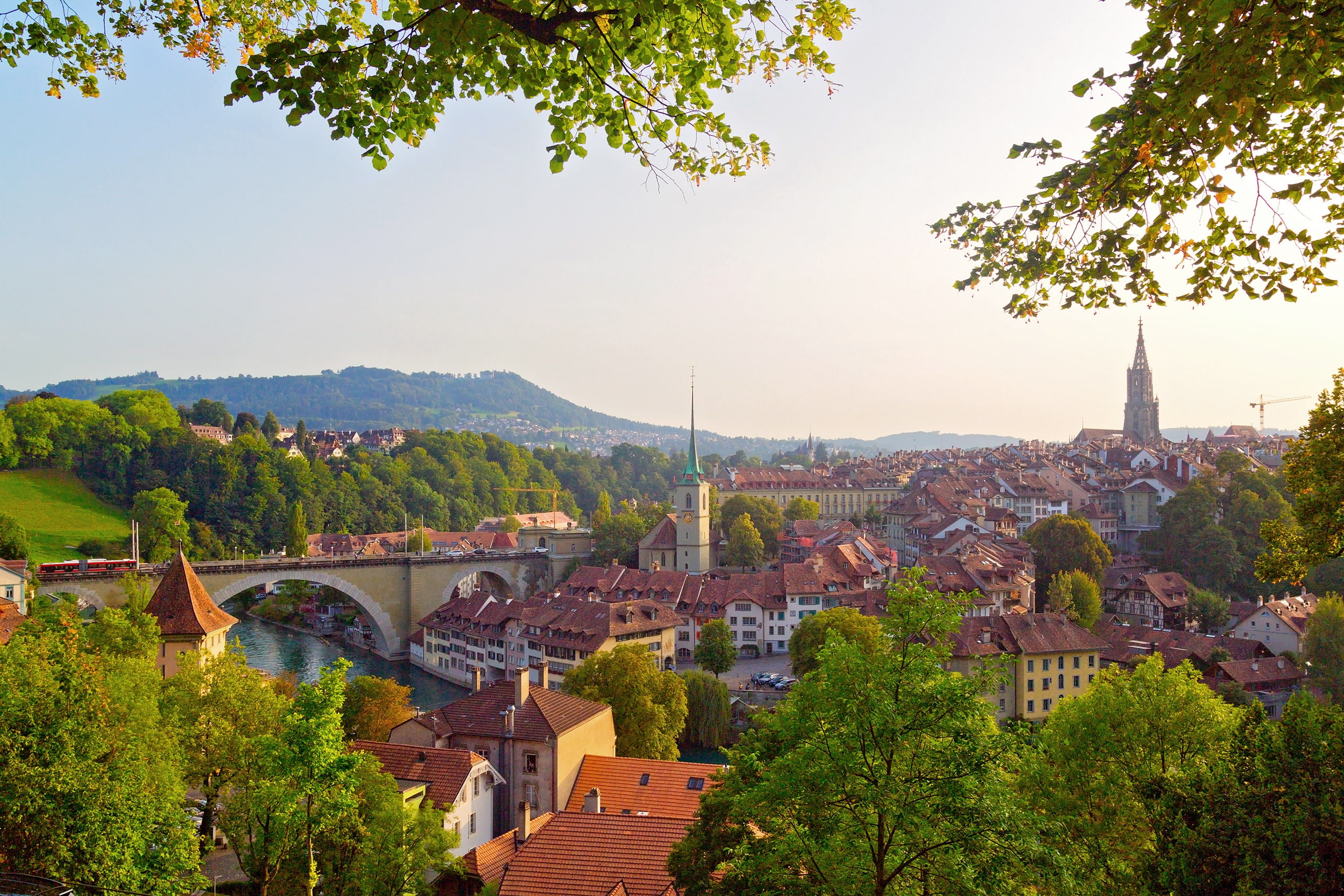 2K, trees, Bern, bridge, river, Switzerland, home, greens, HD Wallpaper