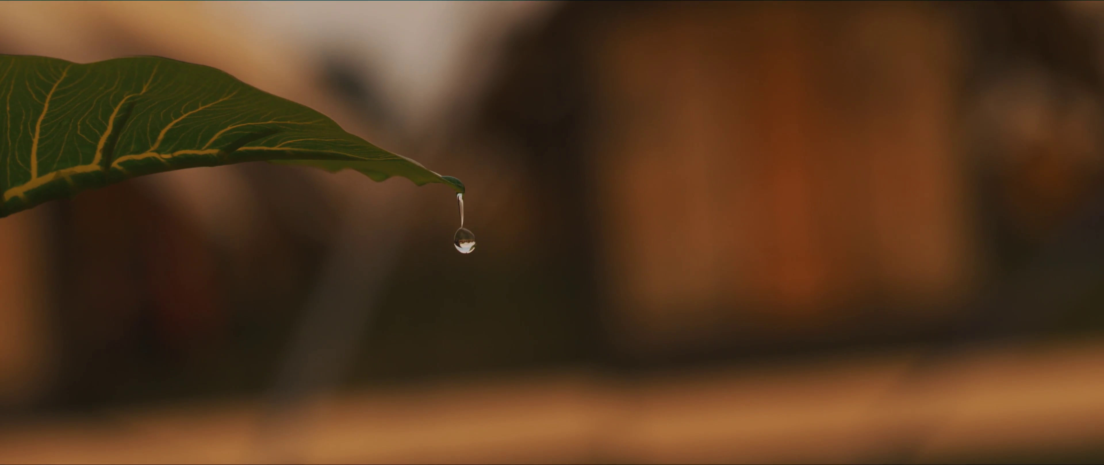 Tomorrowland, 4K, HD Wallpaper