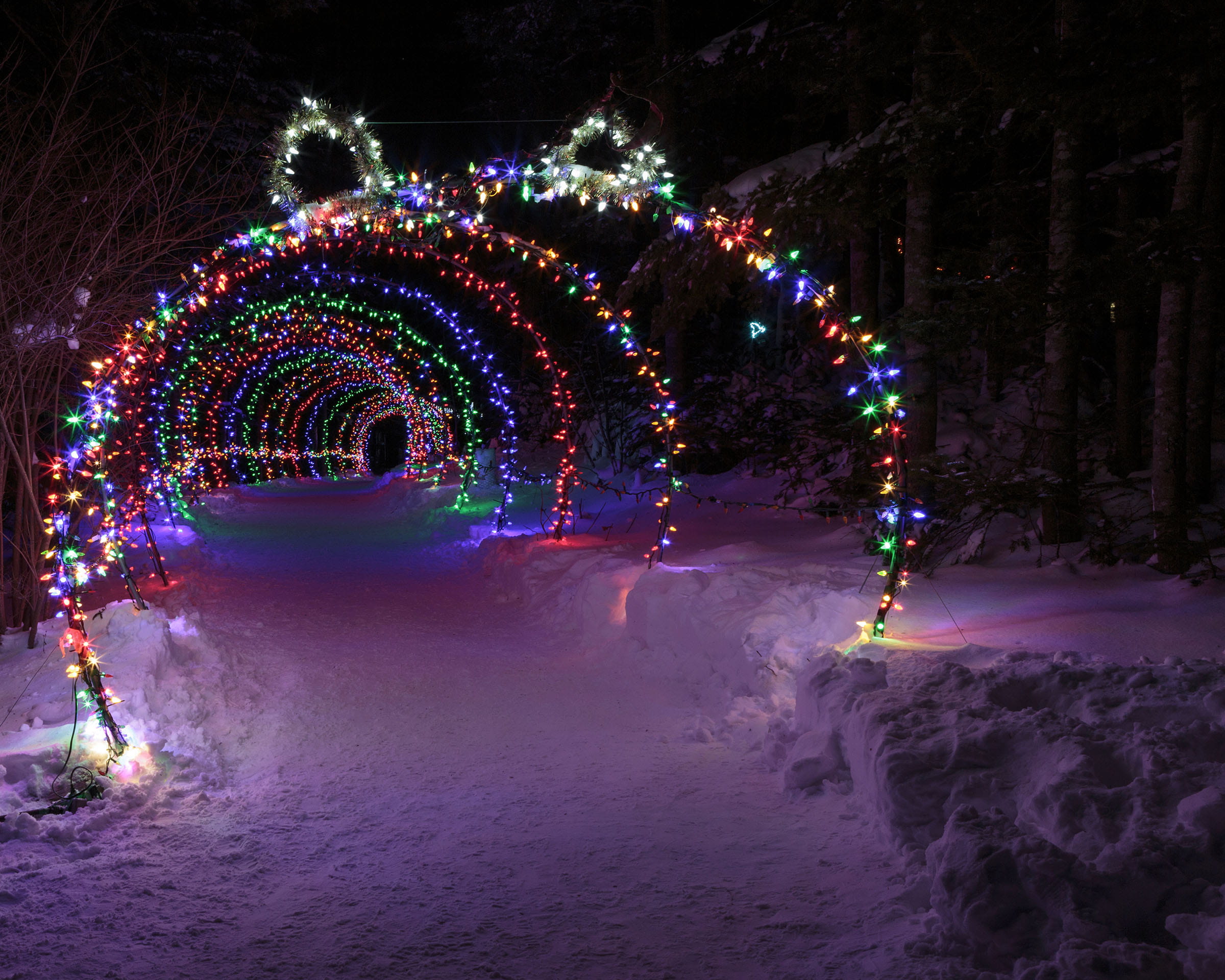 multi colored, architecture, motion, magic, background, lights, bright, xmas, glow, christmas eve, newfoundland and labrador, flashing, night, 1080P, dark, HD Wallpaper