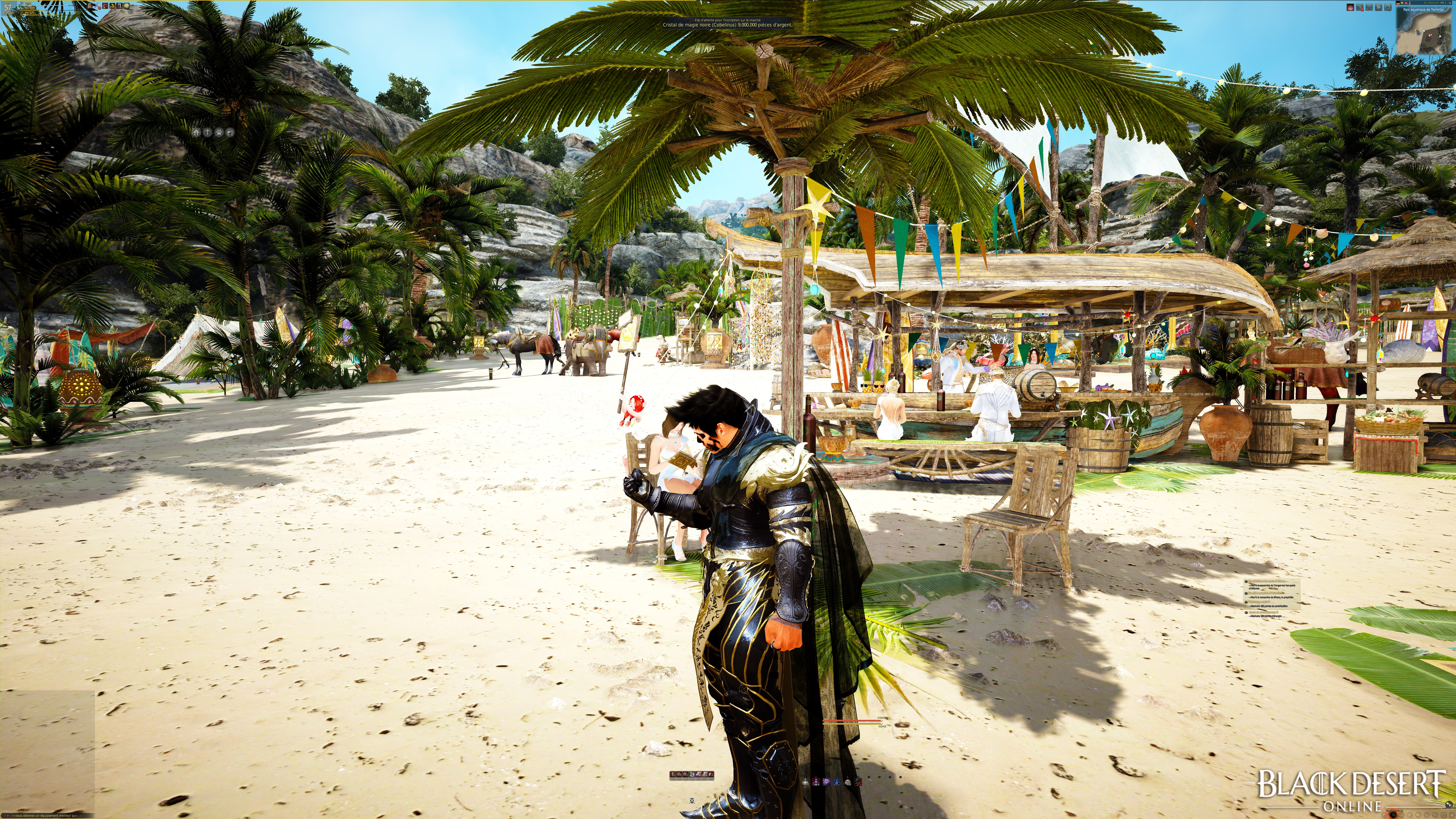 sand, incidental people, people, outdoors, group of people, plant, nature, Black Desert, women, palm tree, adult, day, tree, real people, beach, black desert online, HD Wallpaper
