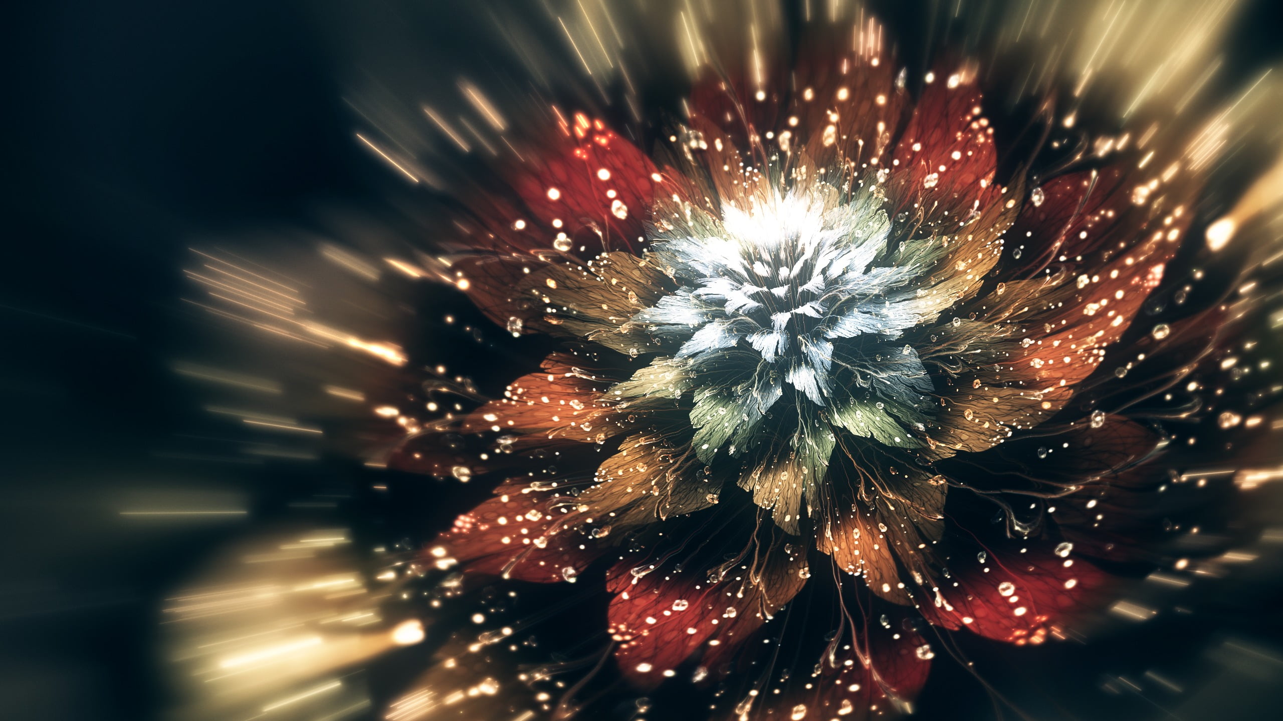 beauty in nature, plant, digital art, flowers, petaled, softness, firework display, event, arts culture and entertainment, blue, flower, blurred motion, HD Wallpaper