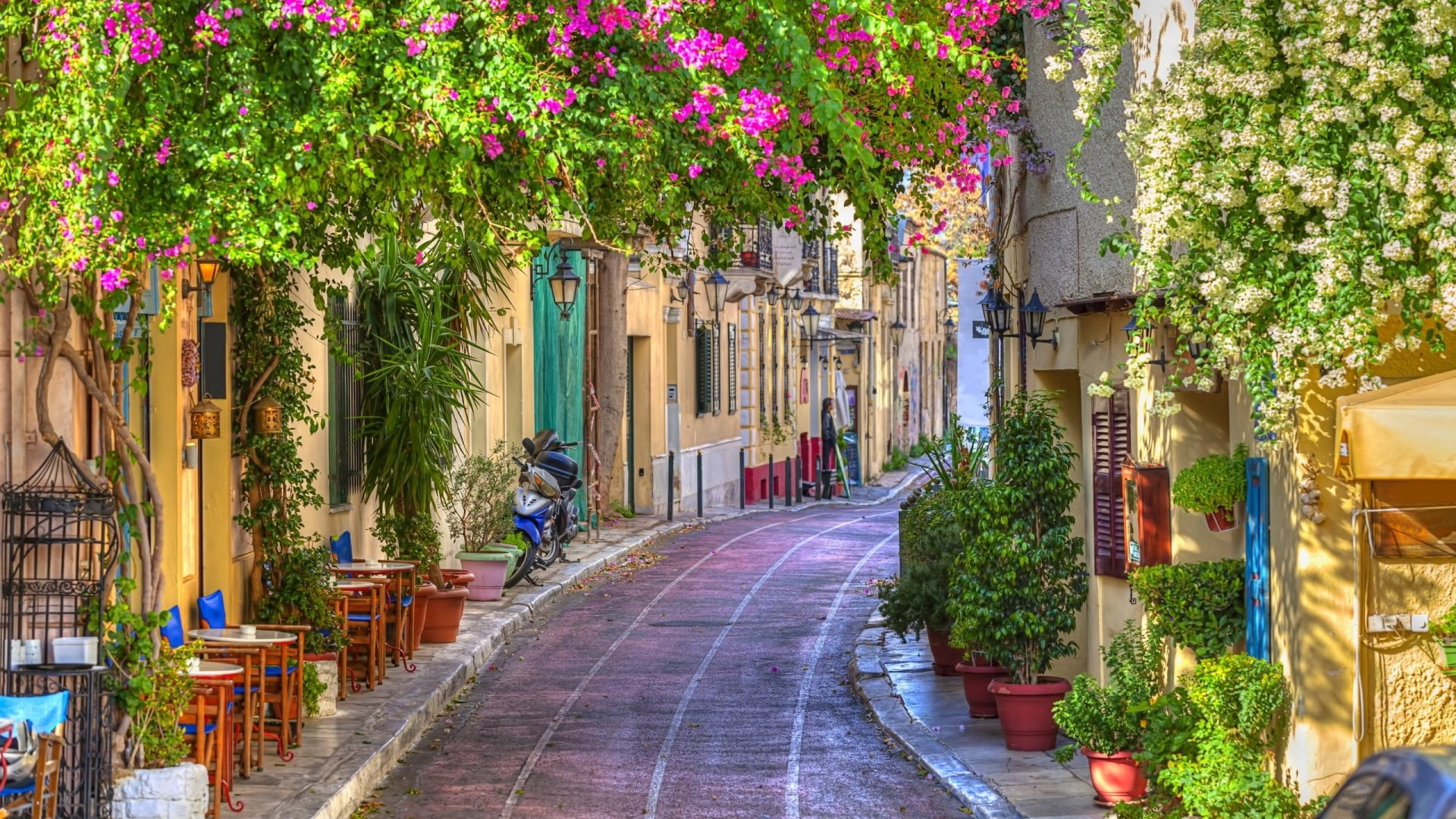 Cities, bougainvillea, the way forward, day, House, flowers, luxury, 1080P, Greece, building, sunlight, no people, nature, tree, diminishing perspective, HD Wallpaper