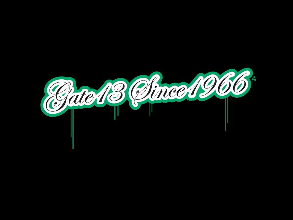 Gate13, Panathinaikos, Ultras Athens, 480P, HD Wallpaper