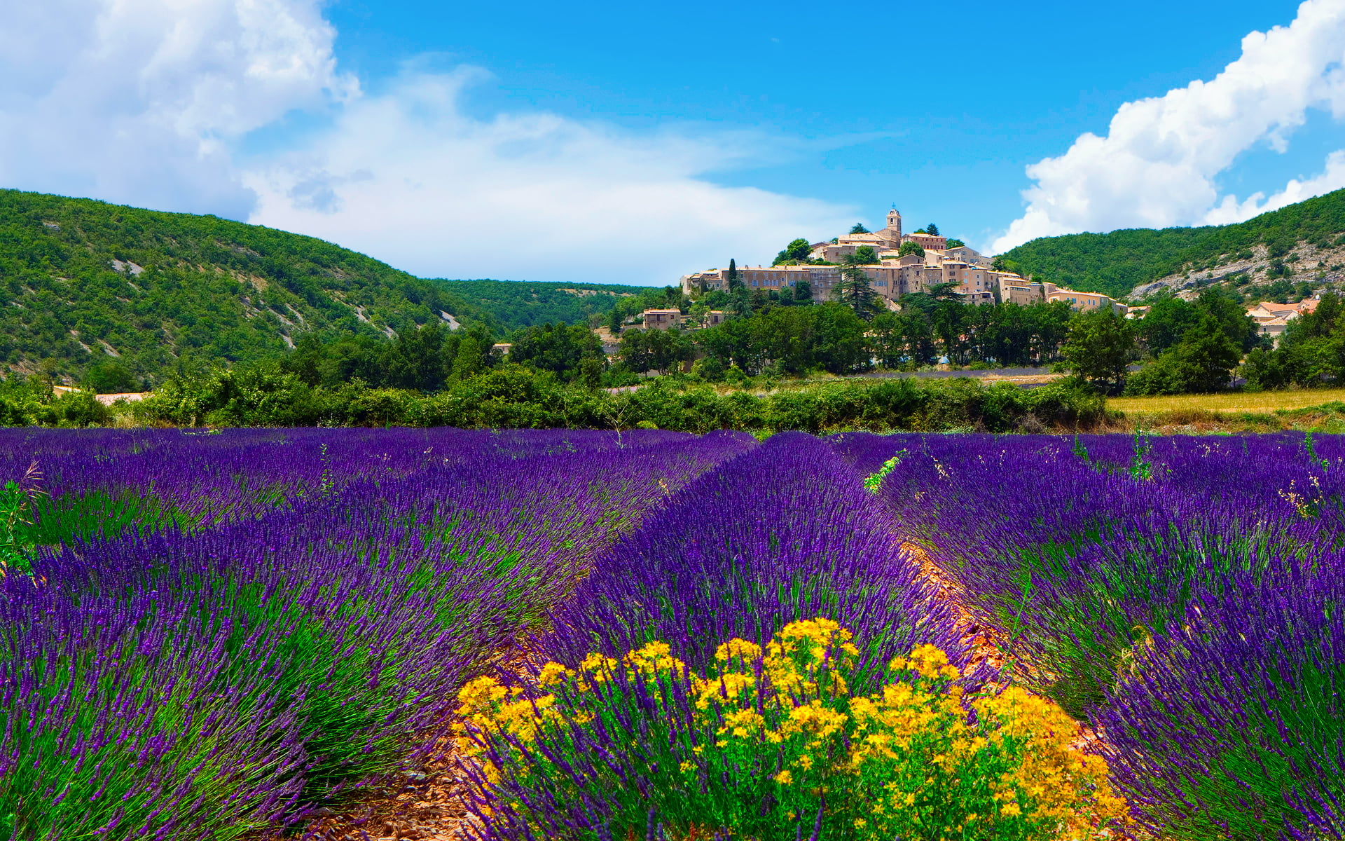 hill, environment, landscaped, non-Urban Scene, day, Provence, tourism, Banon, purple, springtime, green Color, farm, architecture, provence-Alpes-Cote dAzur, HD Wallpaper