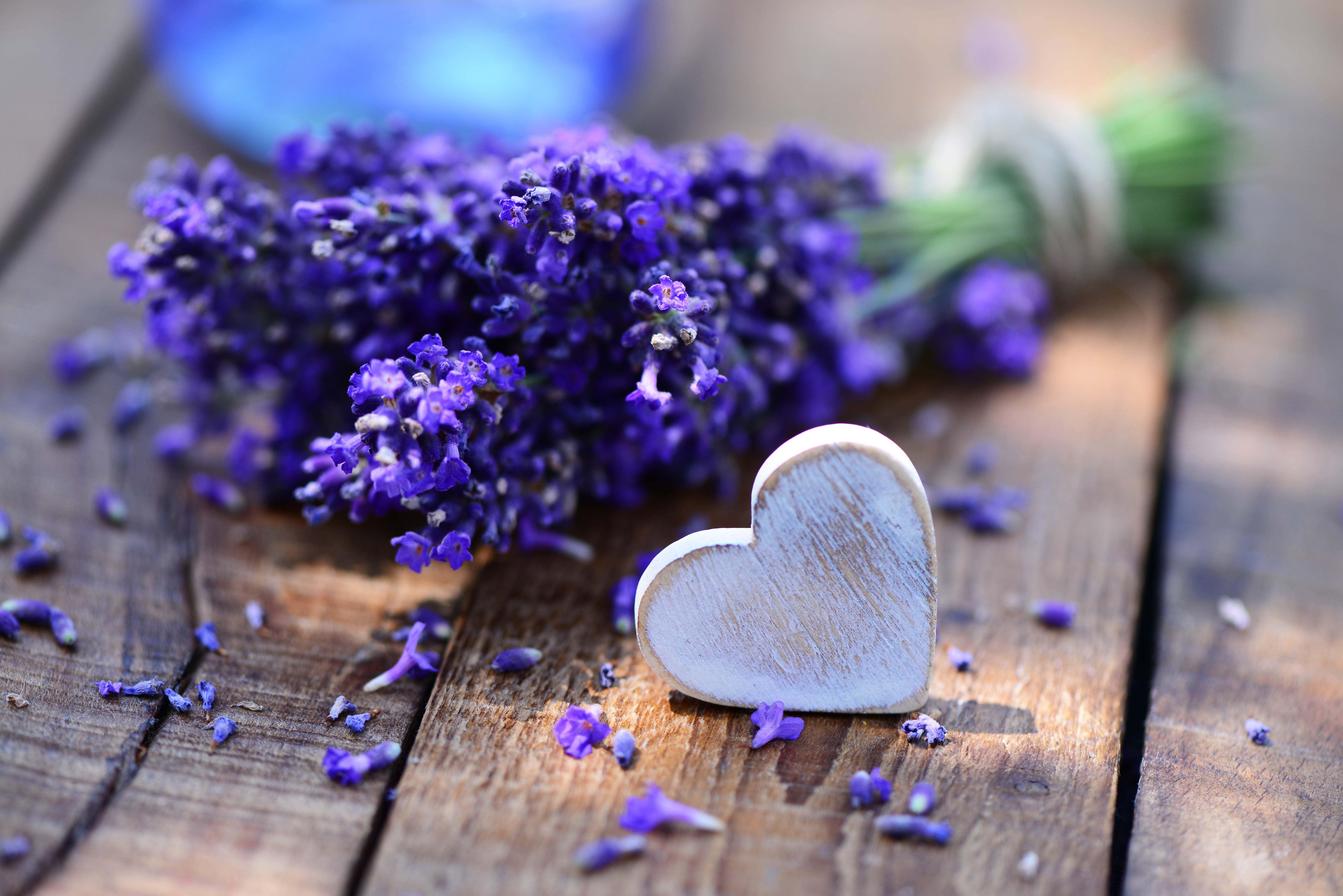 scented, freshness, celebration, lavender, plank, heart, flowers, vulnerability, no people, 5K, selective focus, gift, blue, decoration, petal, copy Space, HD Wallpaper