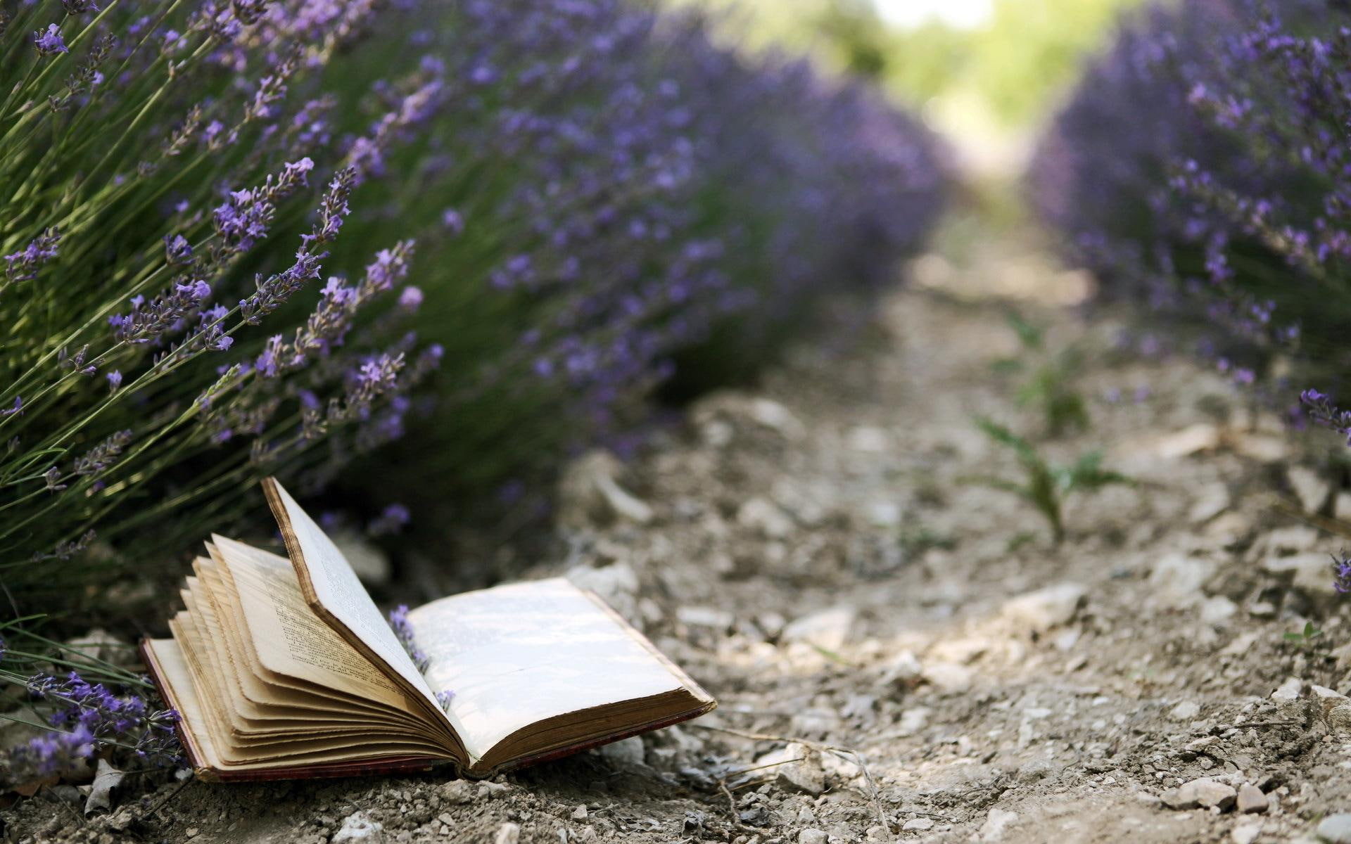 flowers, 1080P, book, opened, lavender, brown, HD Wallpaper