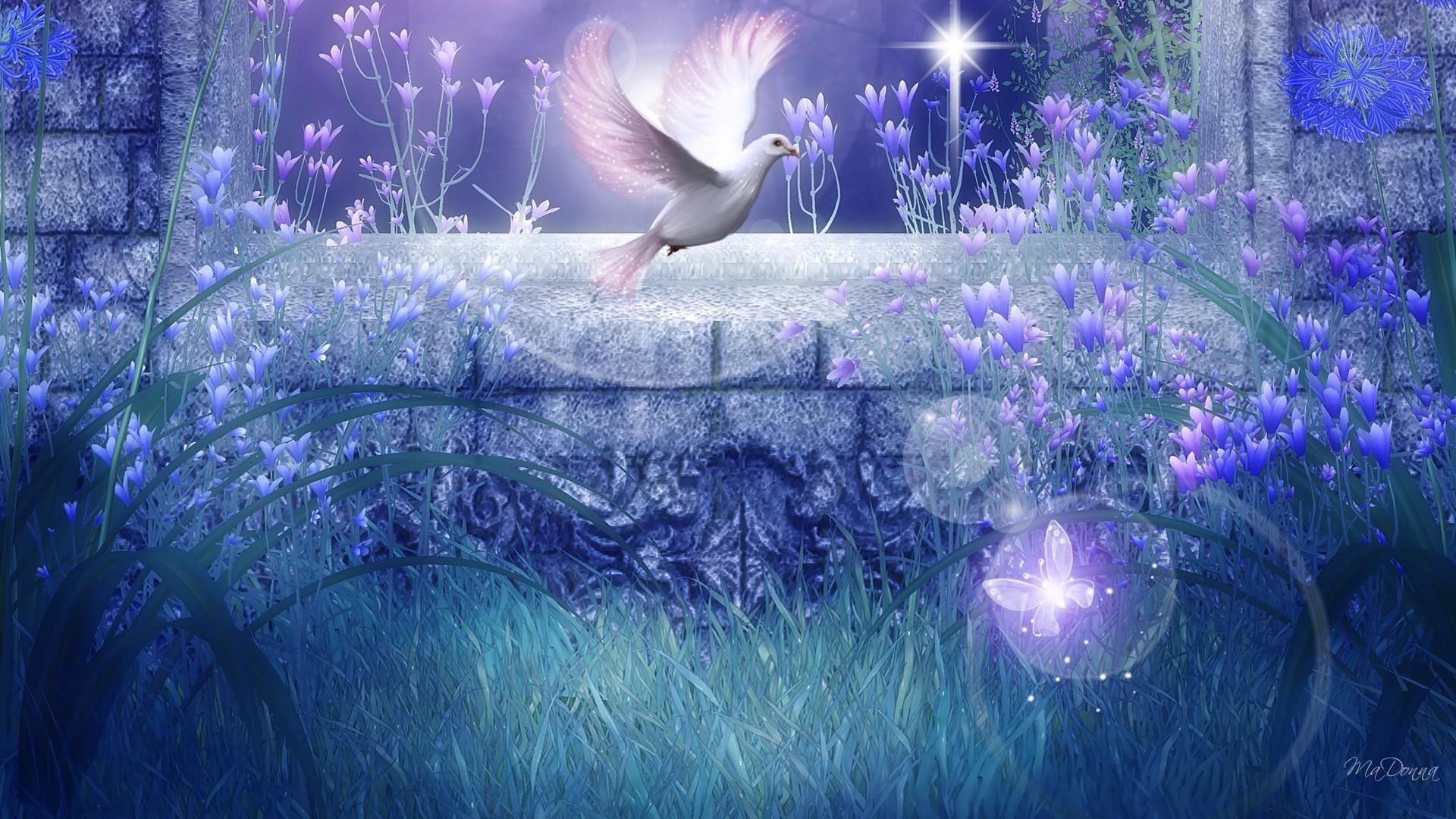 lights, butterfly, 1080P, hope, firefox persona, flares, flowers, peace, lavender, blue, peaceful, dove, fairyland, HD Wallpaper