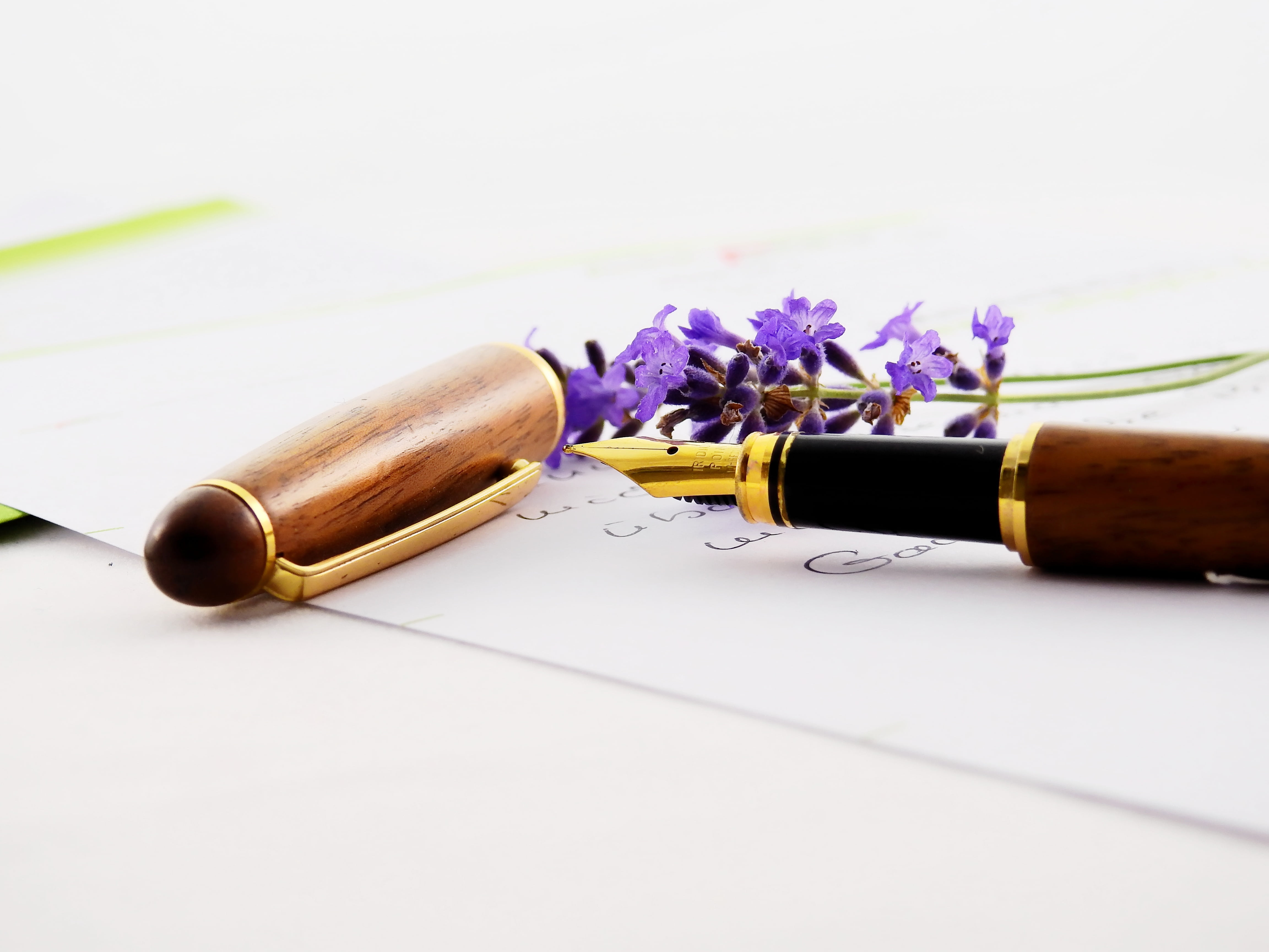 violet, flower head, bloom, brown, publication, close-up, bottle, writing implement, pen, nature, plant, letters, communication, flowering plant, flower arrangement, HD Wallpaper