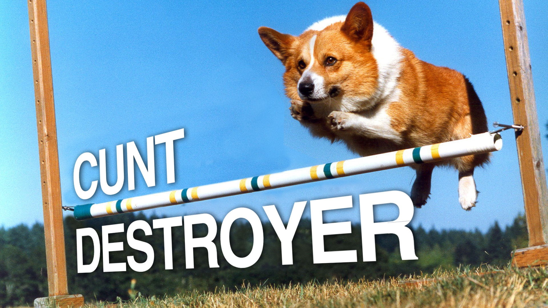 sign, humor, text, Corgi, outdoors, pets, white, communication, no people, typography, nature, animal, animal themes, day, adult, animals, pembroke, canine, HD Wallpaper