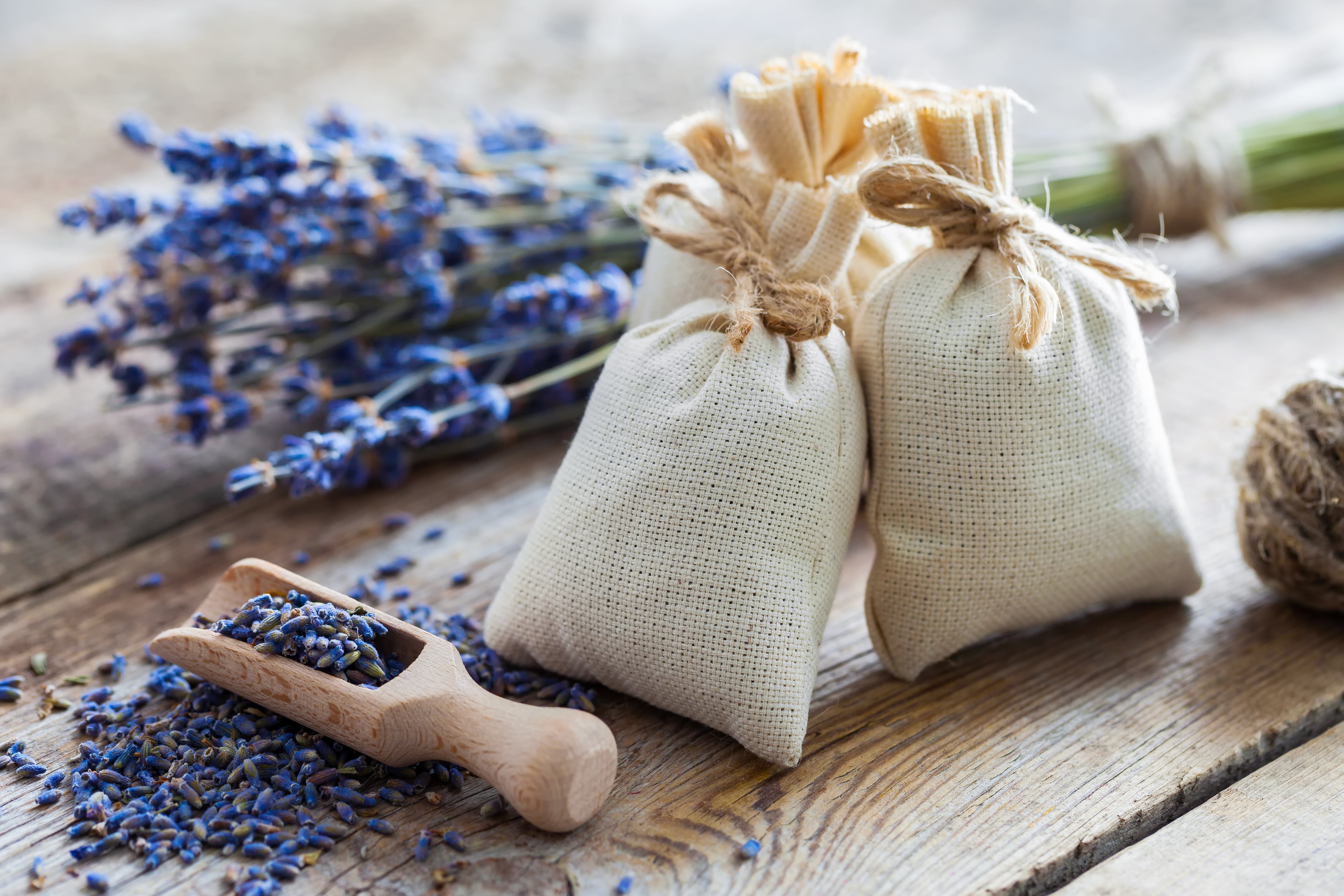 salt, lavender, bags, flowers, 4K, spa, HD Wallpaper