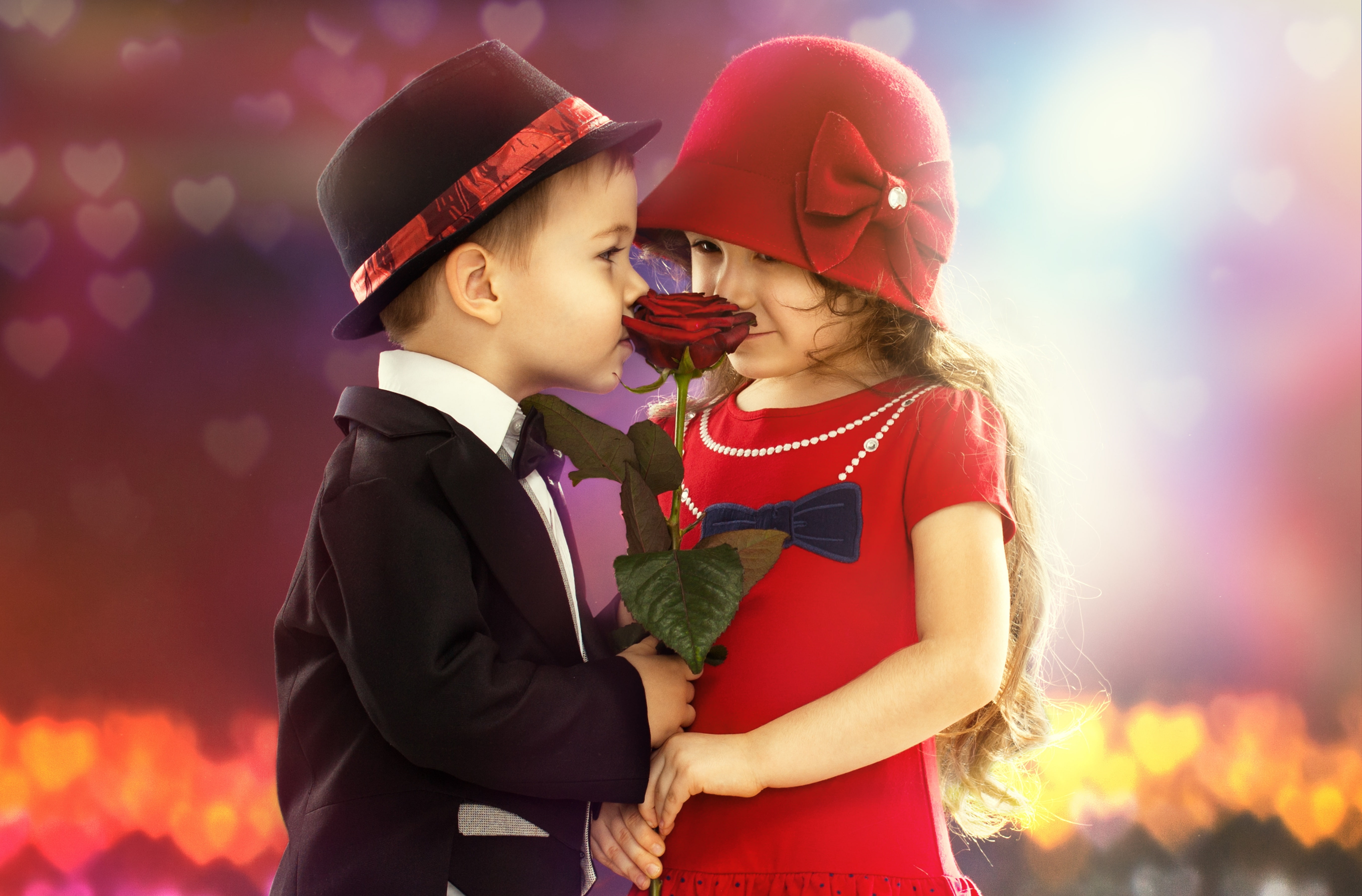 Cute girl, Proposal, Red rose, 5K, Cute boy, 5K, Couple, HD Wallpaper