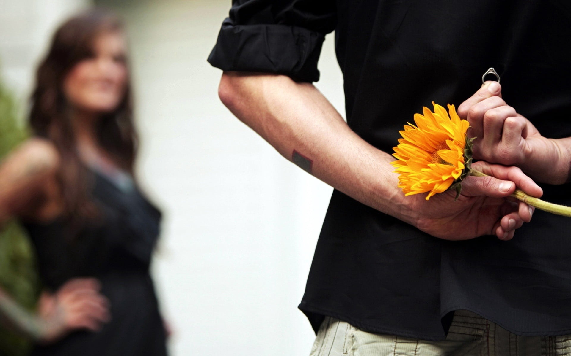 people, caucasian Ethnicity, beauty, 1080P, yellow, happiness, casual clothing, close-up, midsection, men, holding, sunflower, human Hand, hand, plant, HD Wallpaper