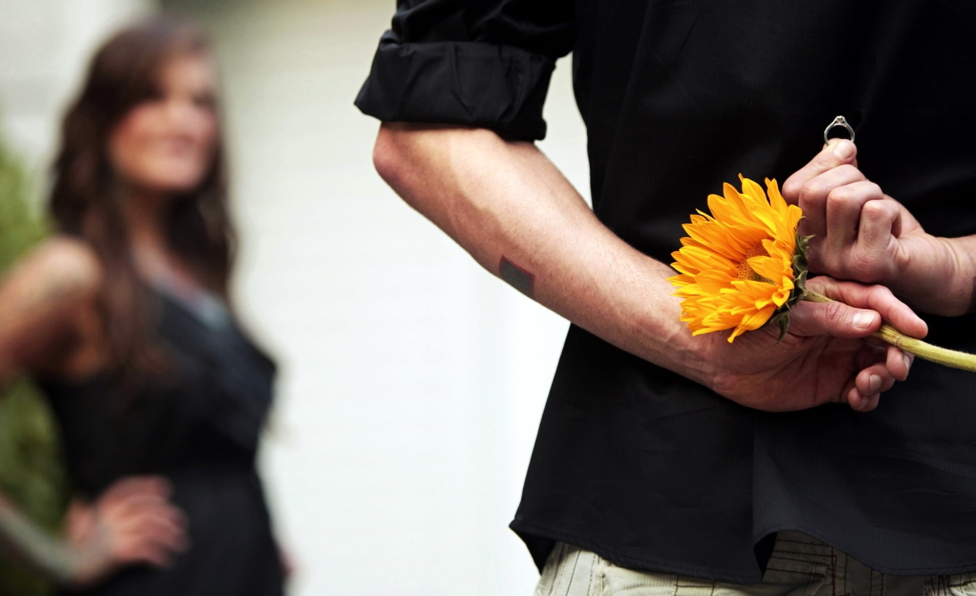Marry, proposal ring, people, Love, human body part, will, 1080P, men, casual clothing, standing, two people, flower, wedding proposal, flowering plant, HD Wallpaper