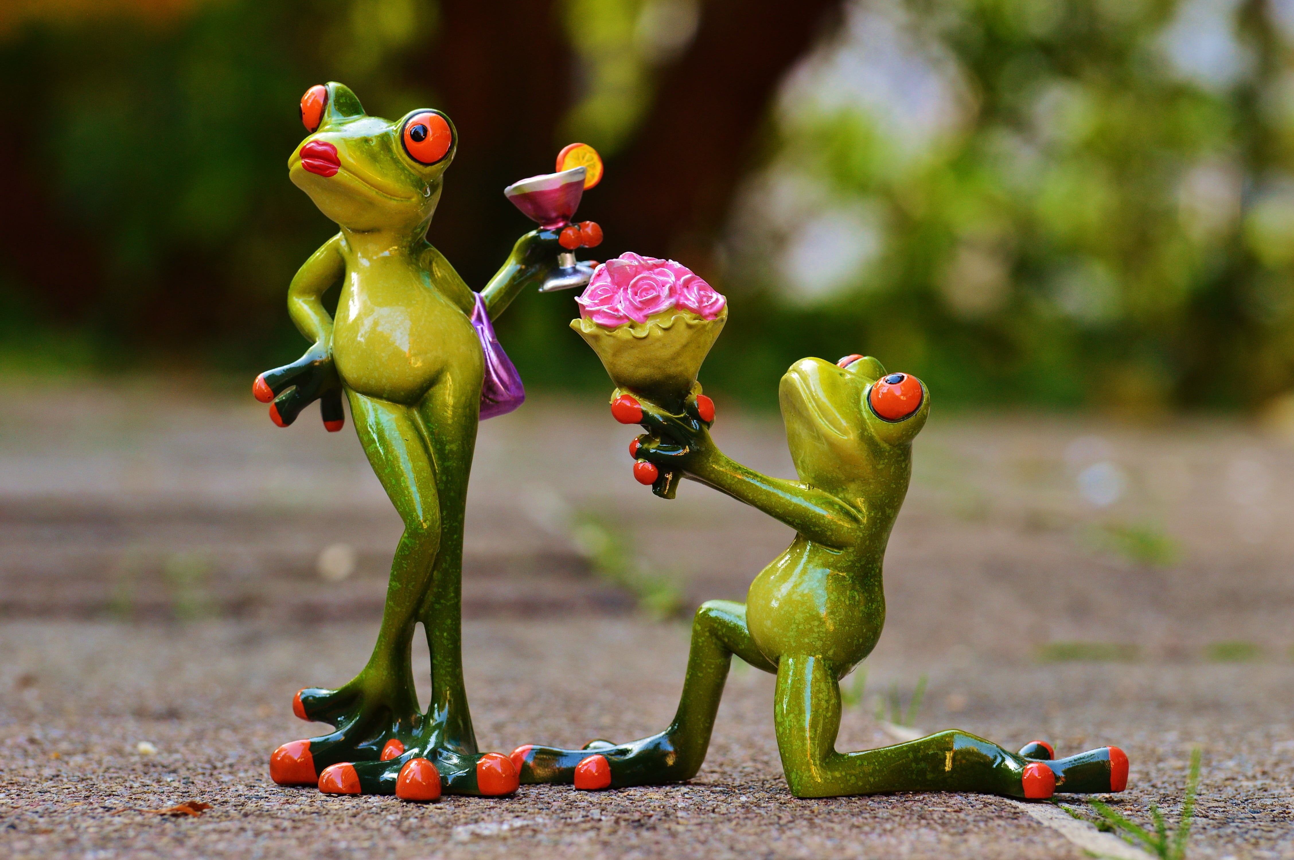 frog, gift, focus on foreground, couple, green color, craft, art and craft, pink color, outdoors, roses, arrogant, no people, sweet, marriage proposal, HD Wallpaper
