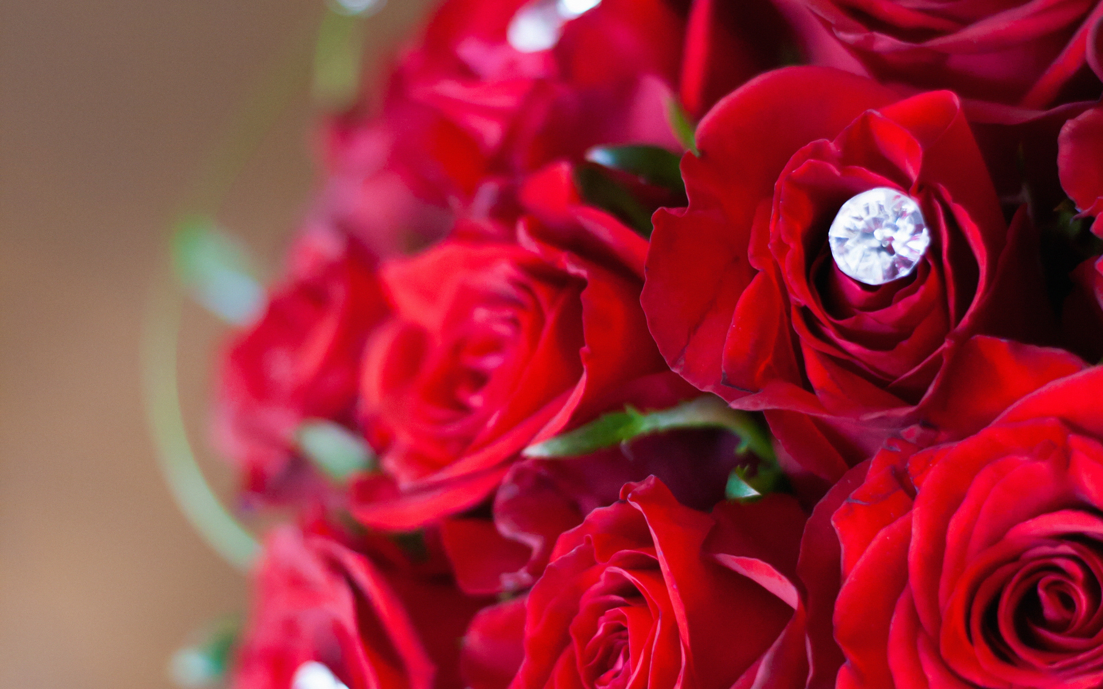 propose, 4K, flower, red, diamond, love, with, HD Wallpaper