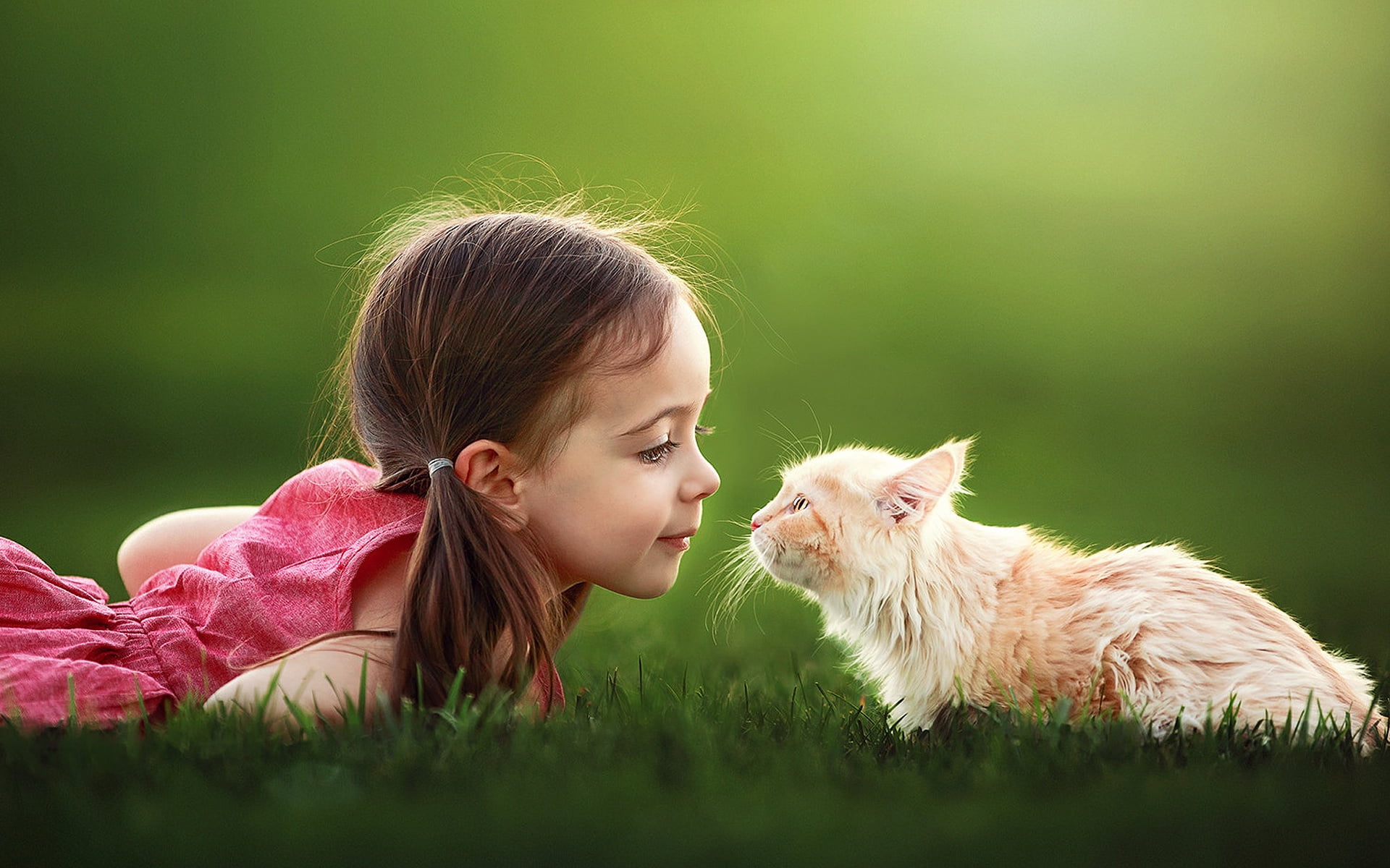 women, bokeh, females, domestic, childhood, grass, cute, children, offspring, hair, mammal, child, long hair, sleeveless, 1080P, red, one animal, cat, HD Wallpaper