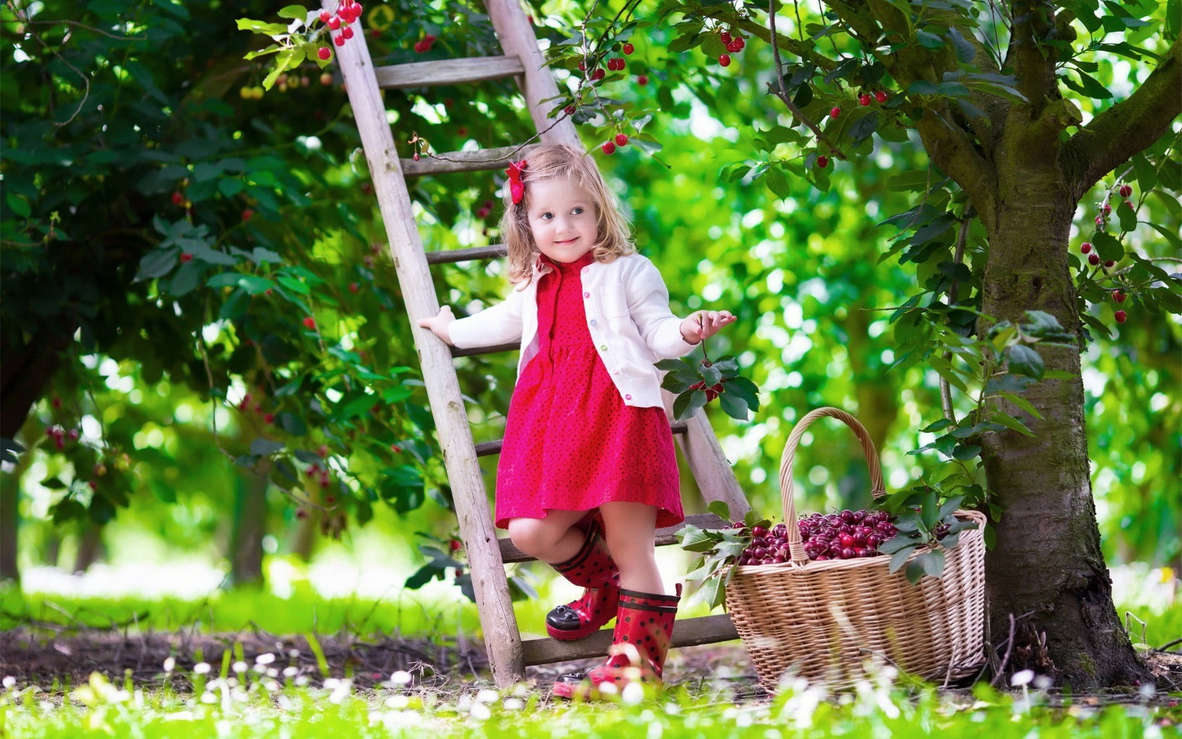 fashion, day, girls, white, pink, children, s, females, one person, standing, front view, 720P, leisure activity, childhood, looking at camera, outdoors, HD Wallpaper