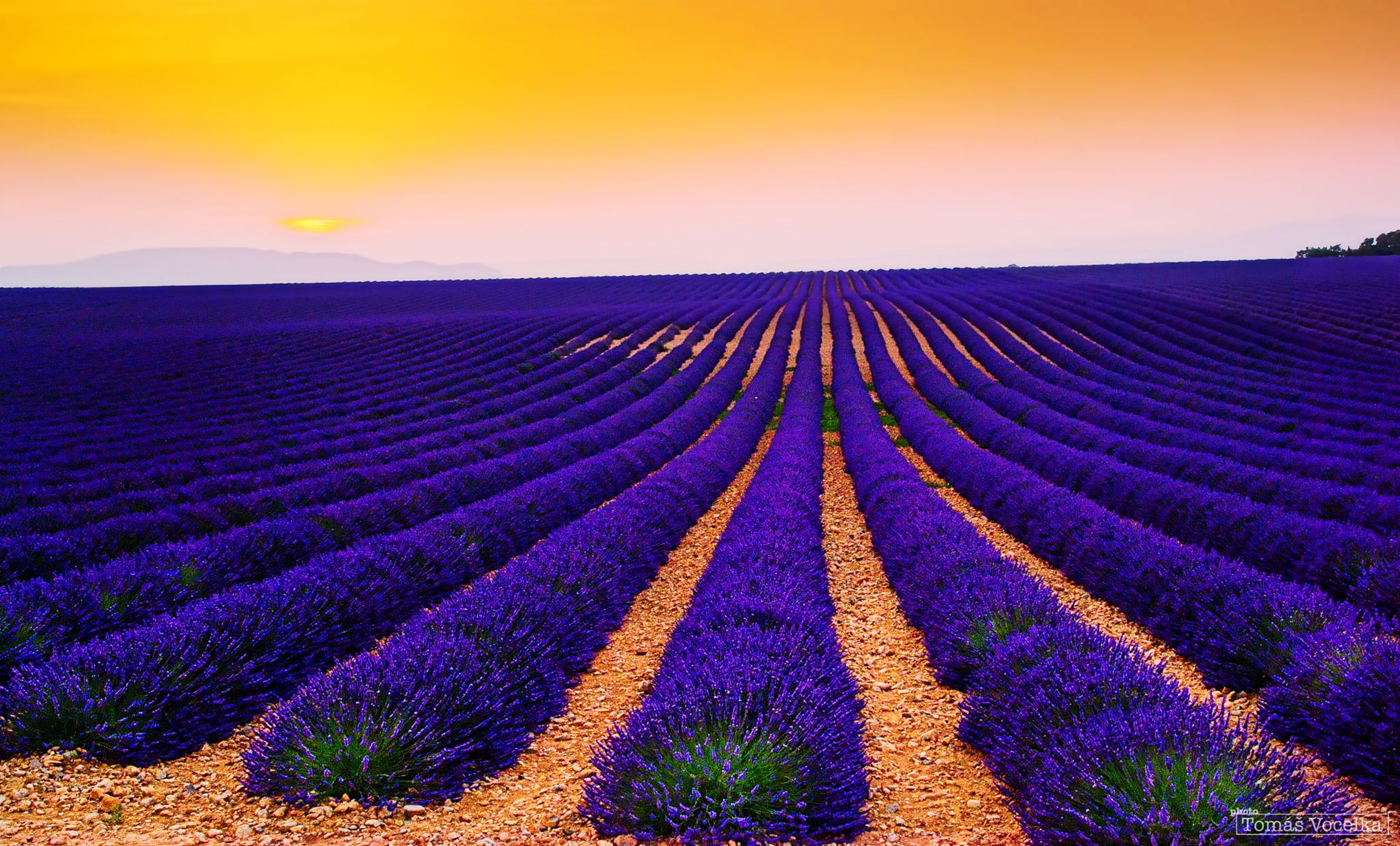 France, 4K, 4K, Sunset, Valensole, Lavender Fields, Landscape, HD Wallpaper