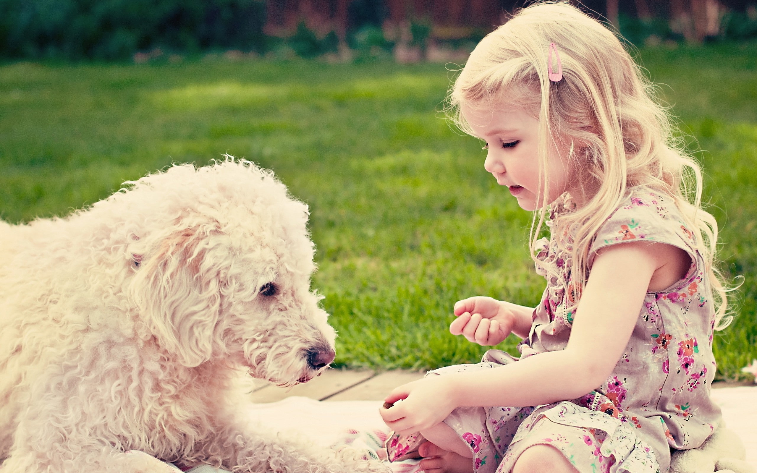 children, 2K, blonde, outdoors, little girl, HD Wallpaper