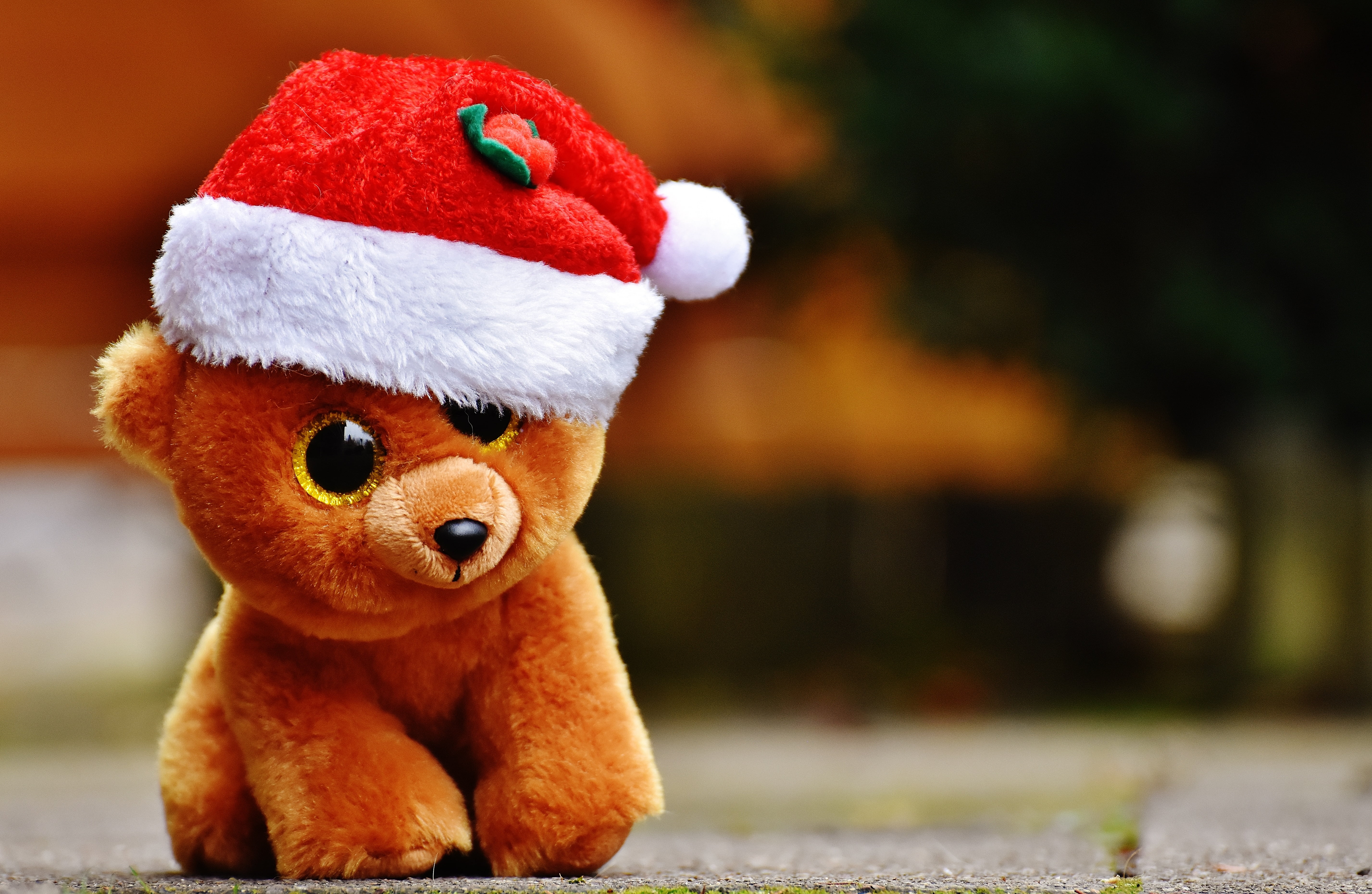 fluffy, mammal, plush, day, animal themes, hat, winter, close-up, fun, decoration, bear, toy, celebration, season, cute, representation, humor, stuffed toy, HD Wallpaper