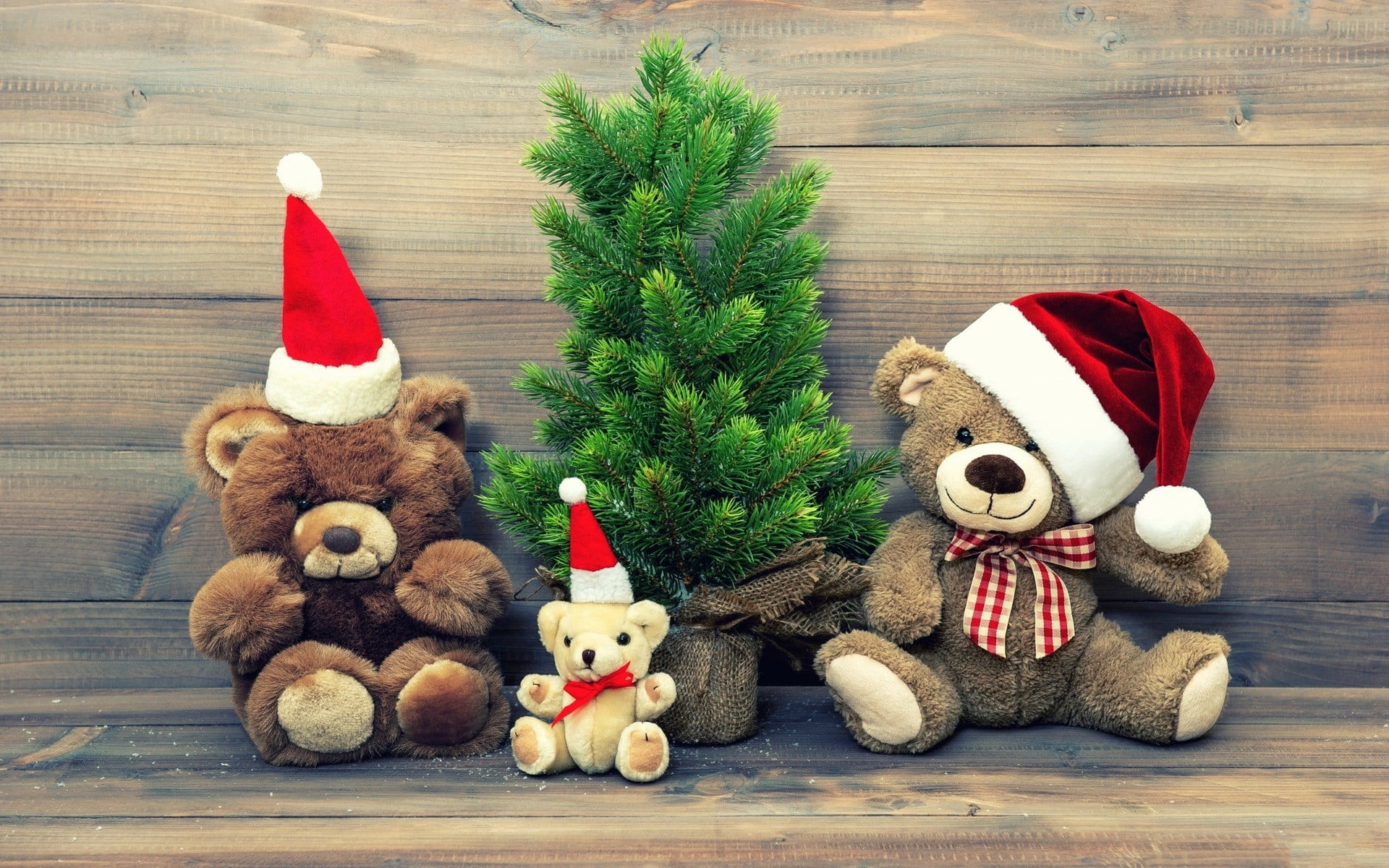 no people, plush, toy, stuffed toy, toys, human representation, red, 1080P, santa hat, softness, three, art and craft, representation, celebration, christmas ornament, HD Wallpaper